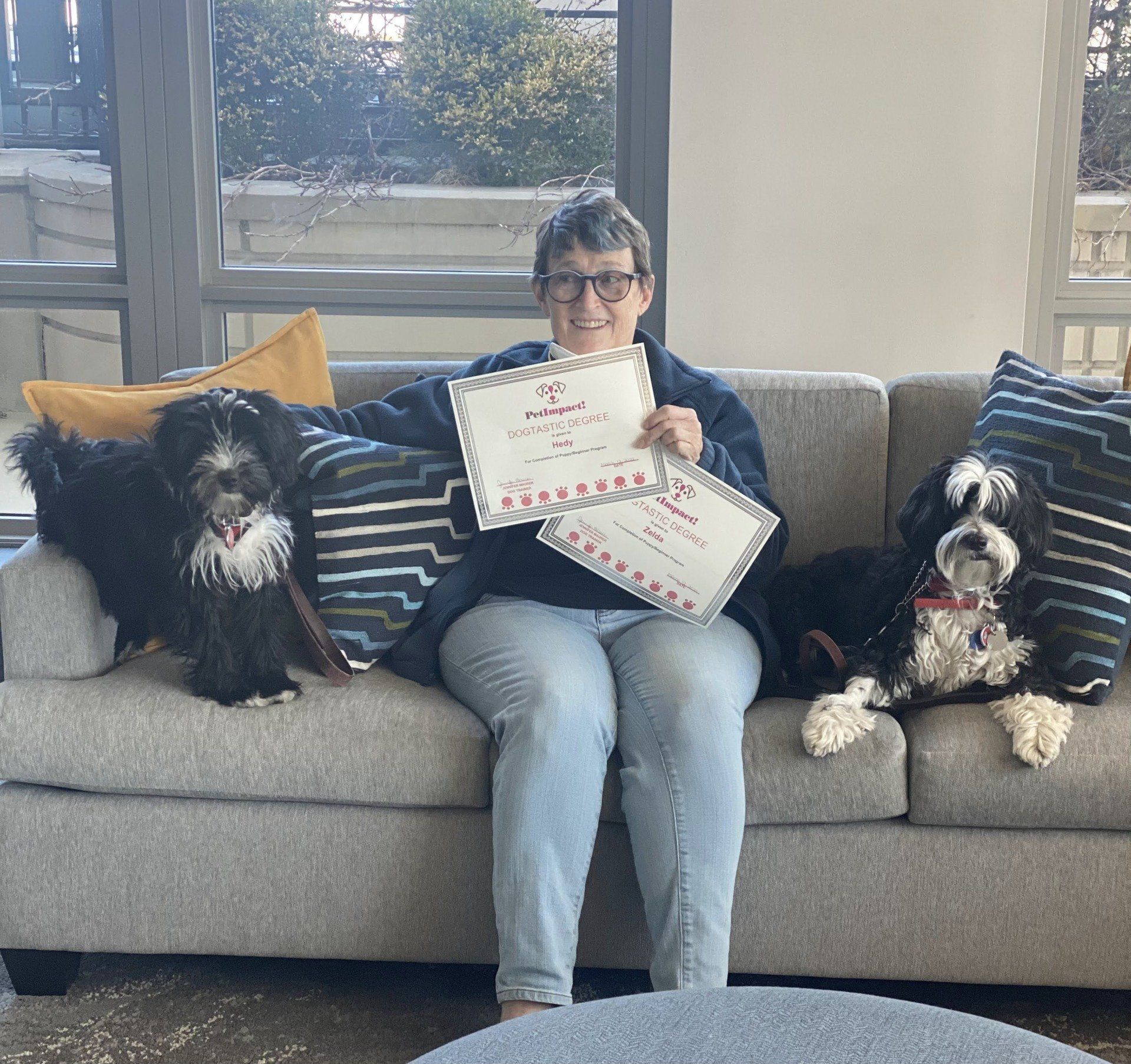 Woman with two dogs on a couch, holding certificates. Dogs are black and white. Setting is indoors.