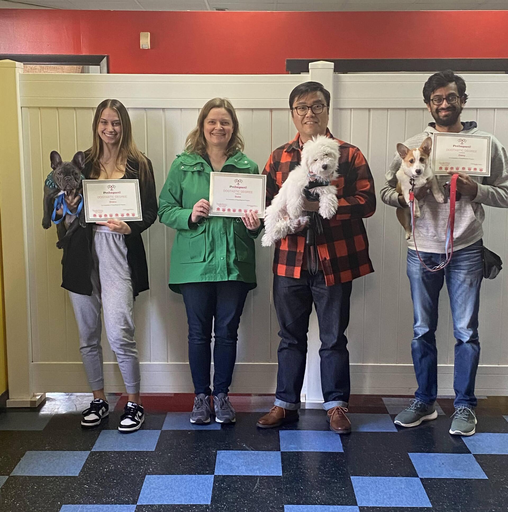 Four people holding dogs and certificates pose in a training room.