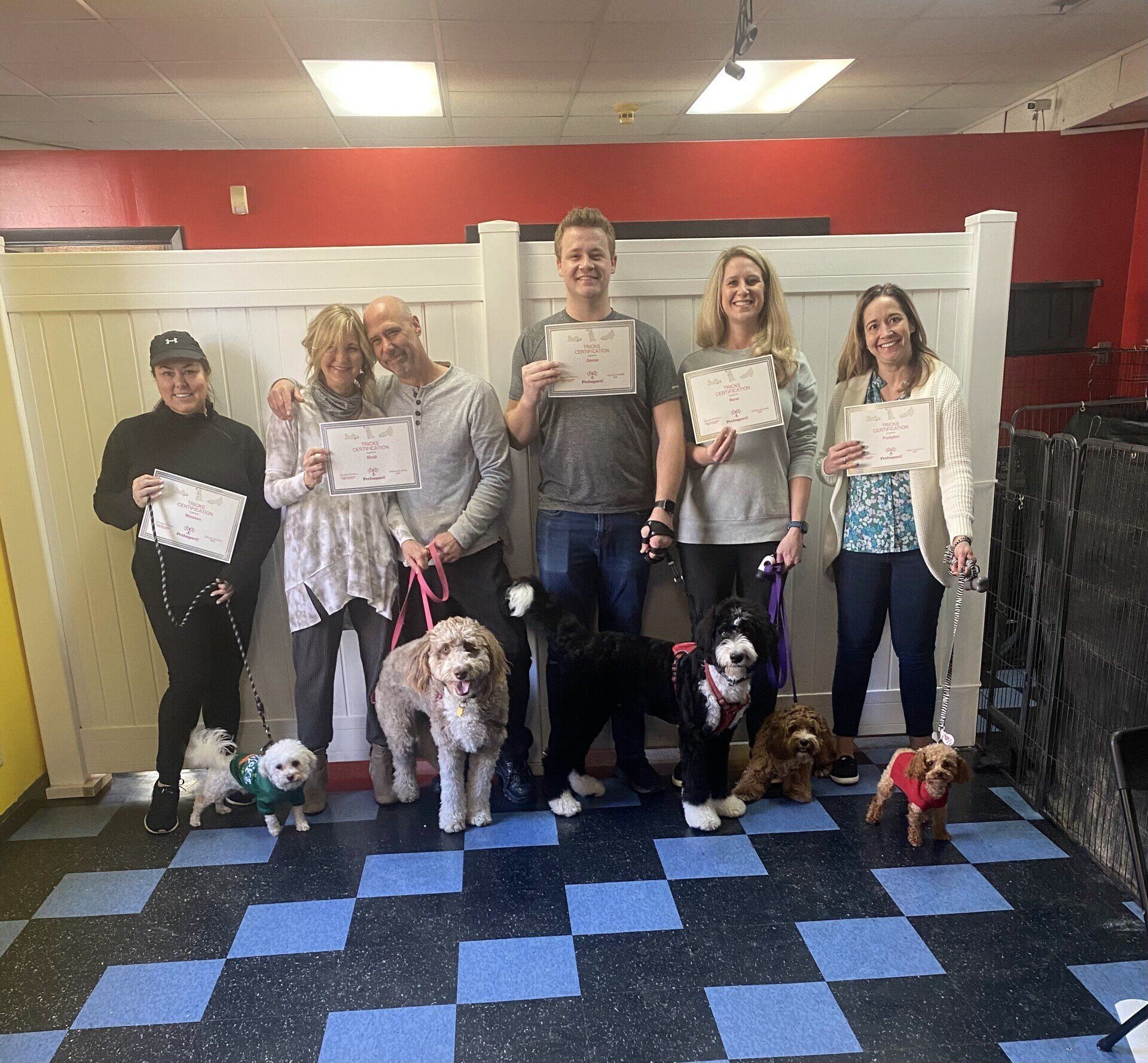Group of people with dogs holding certificates in a training space.