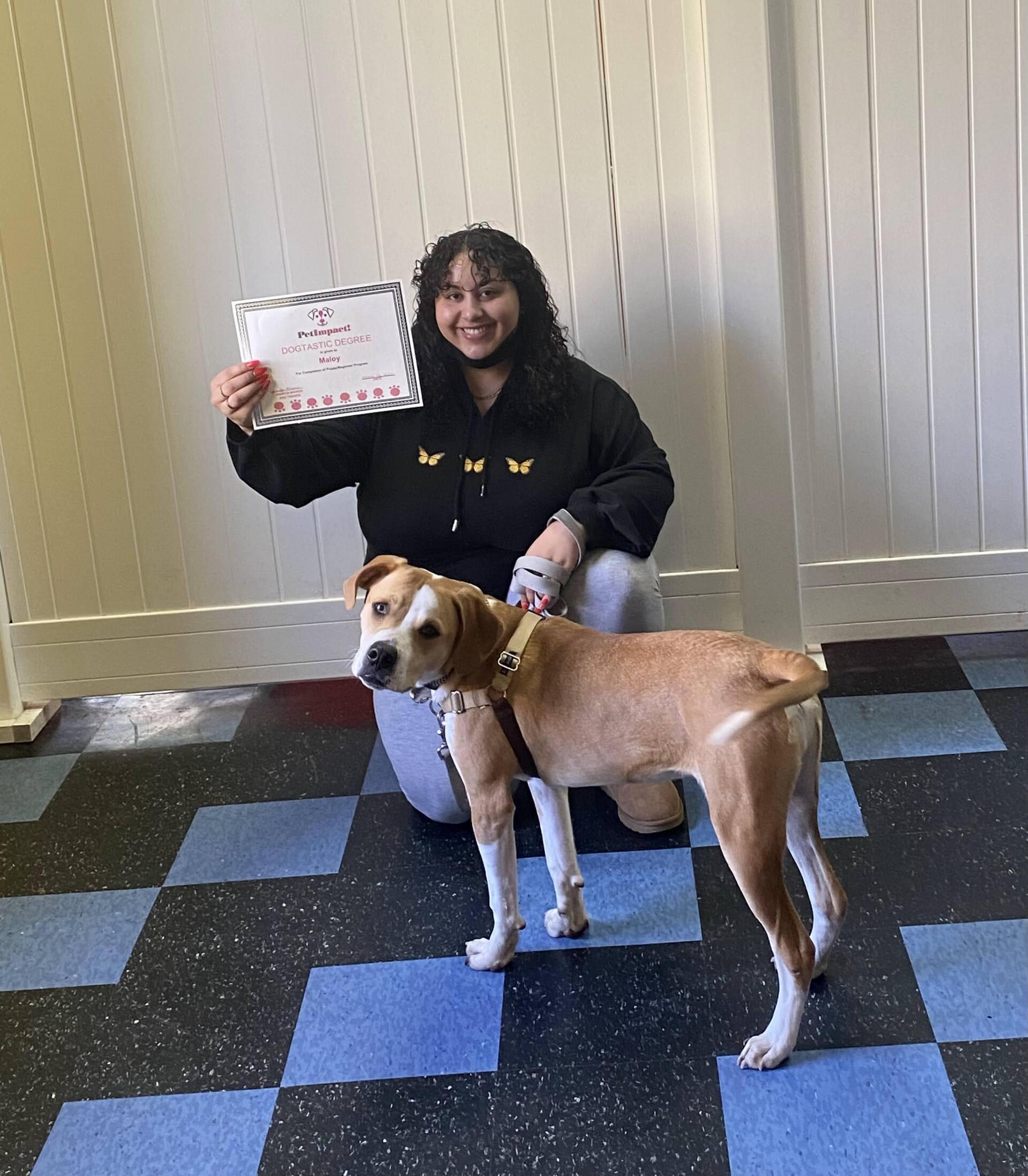 Woman kneeling next to dog, holding certificate. They are in a room with blue and black checkered floor.