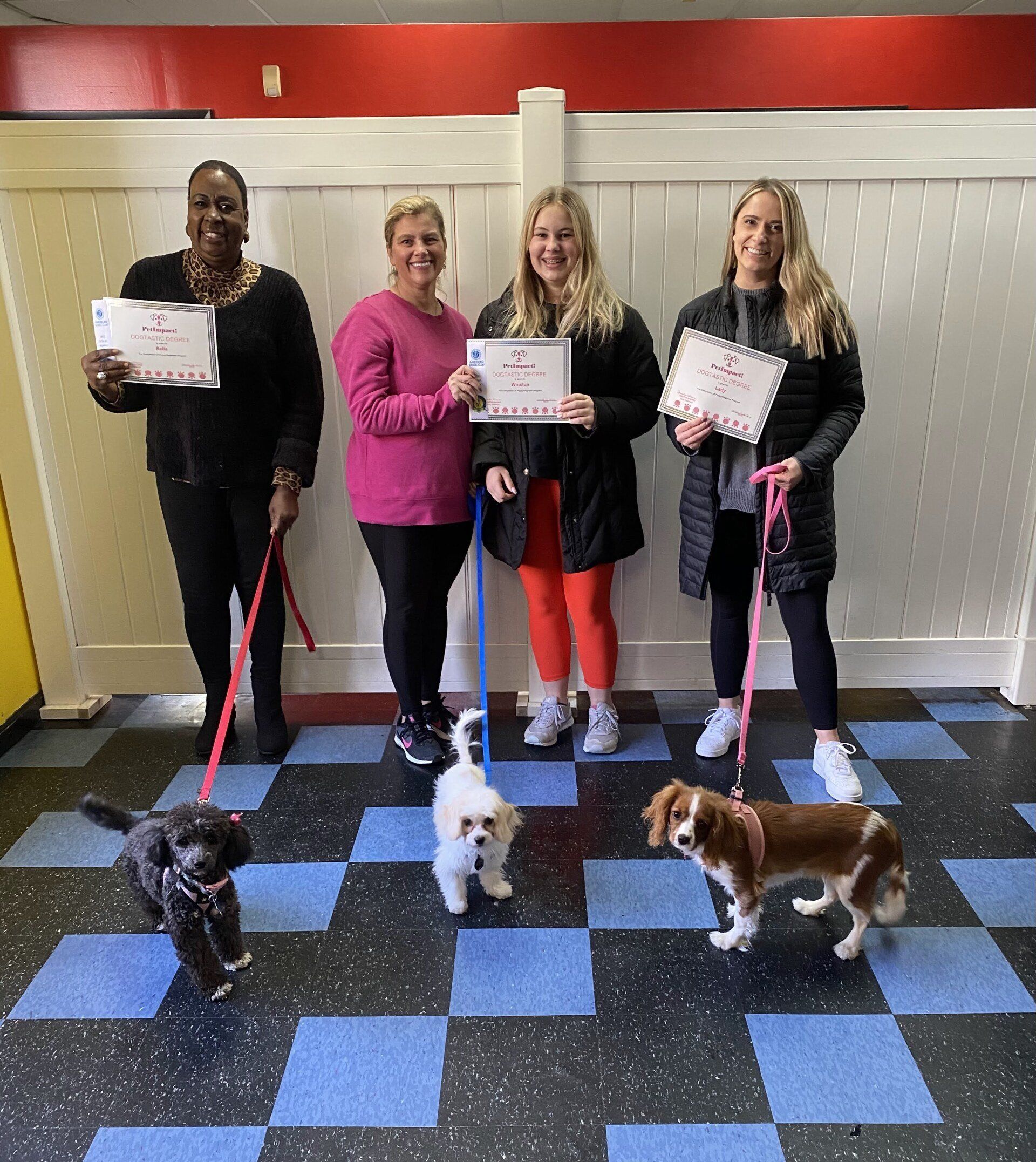 Four people holding certificates with dogs on leashes. Indoor setting, black, pink, and orange outfits.