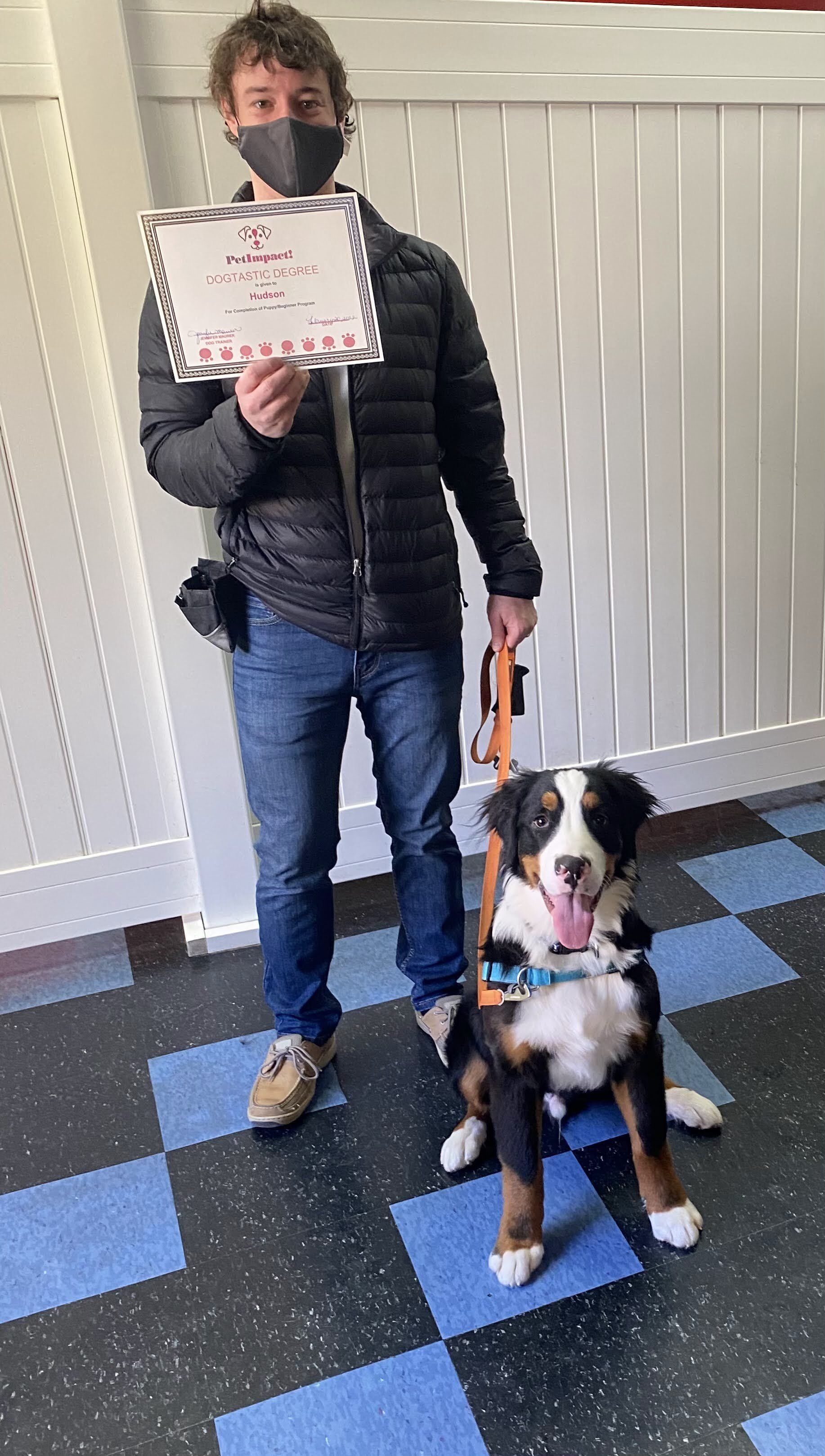 Man and Bernese Mountain Dog, holding certificate, in a room with a checkered floor, white walls, and a red stripe.
