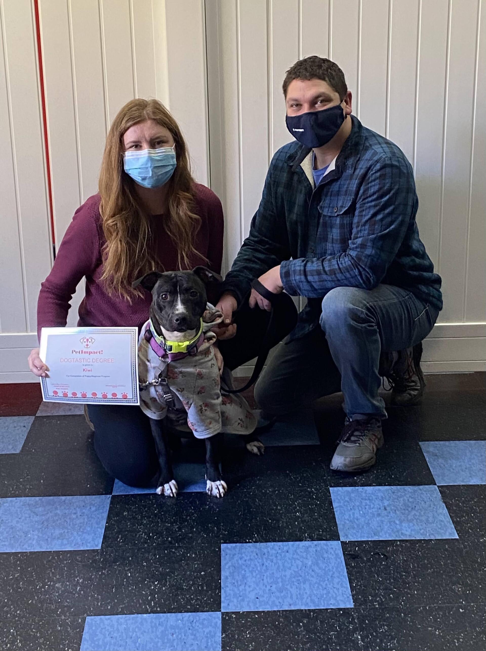Woman and man kneeling with dog in coat, holding certificate. They wear face masks, smiling in room with checkered floor.