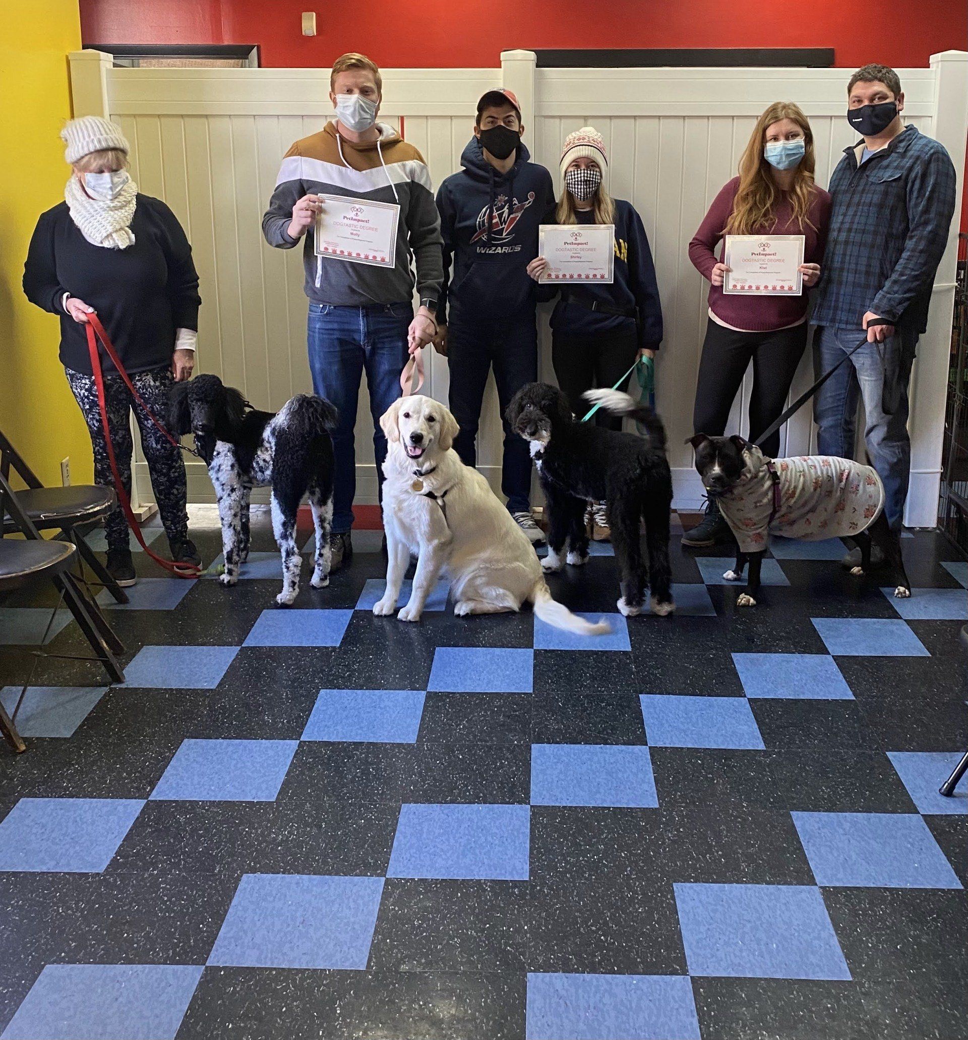 People and dogs posing with certificates in a room with blue and black tiled floor.