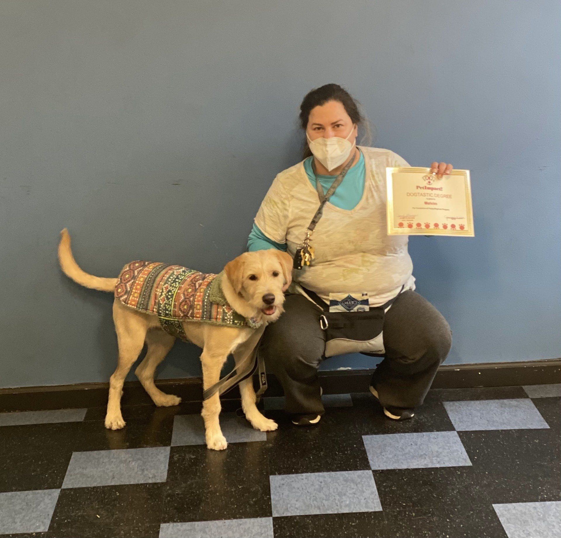 Woman in mask with Labrador in sweater; both hold a certificate, standing by a blue wall and checkered floor.