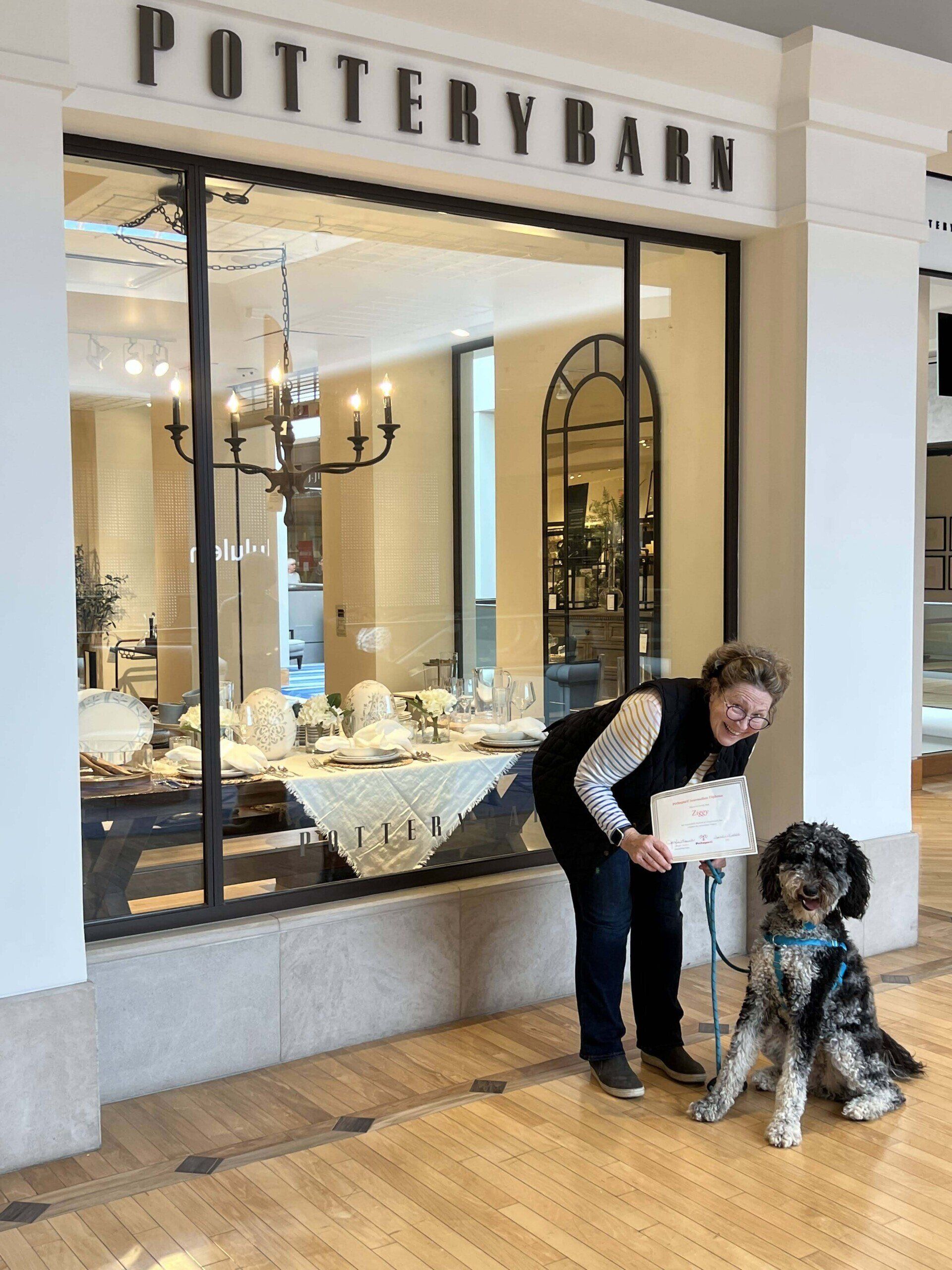 Woman and dog pose outside a Pottery Barn store. They stand next to a window display.