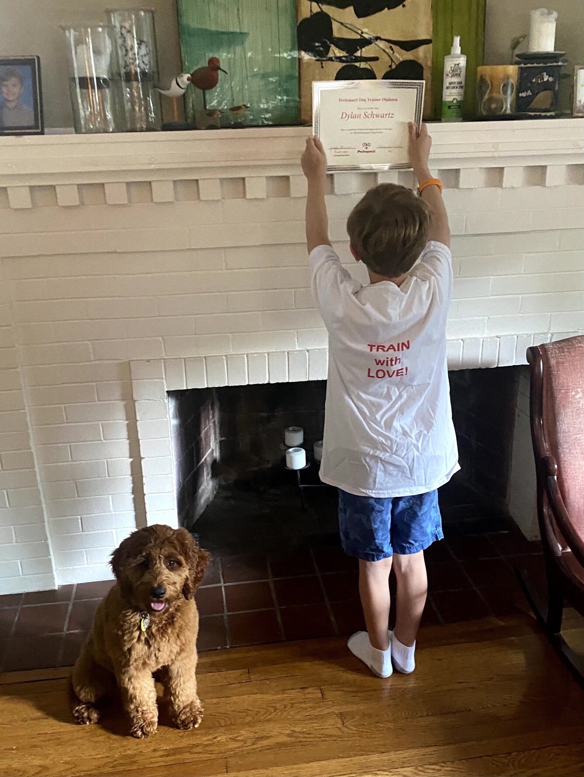 Dylan The Dog Graduate — St. Louis, MO — PetImpact!