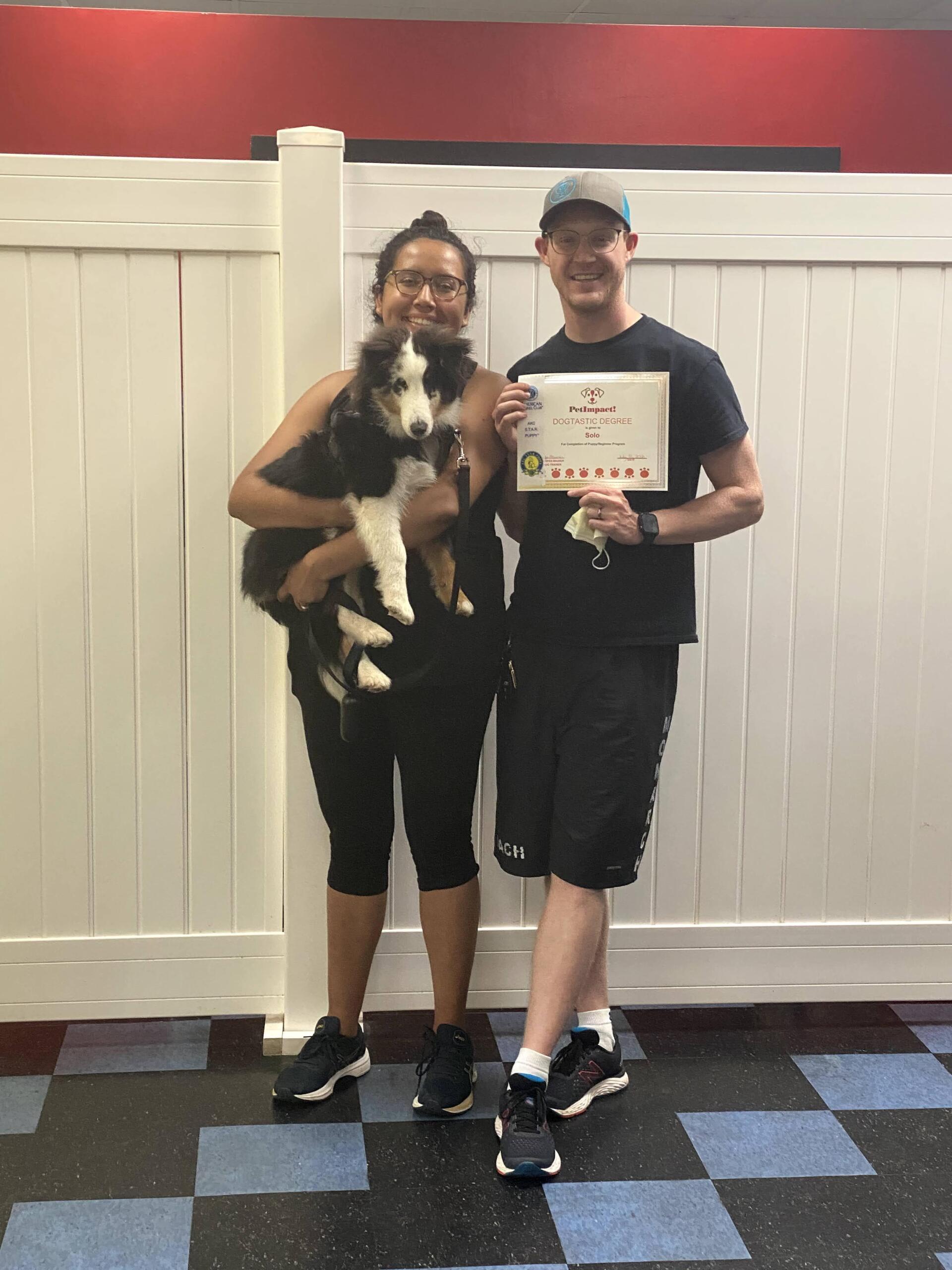 Solo The Dog Graduate — St. Louis, MO — PetImpact!