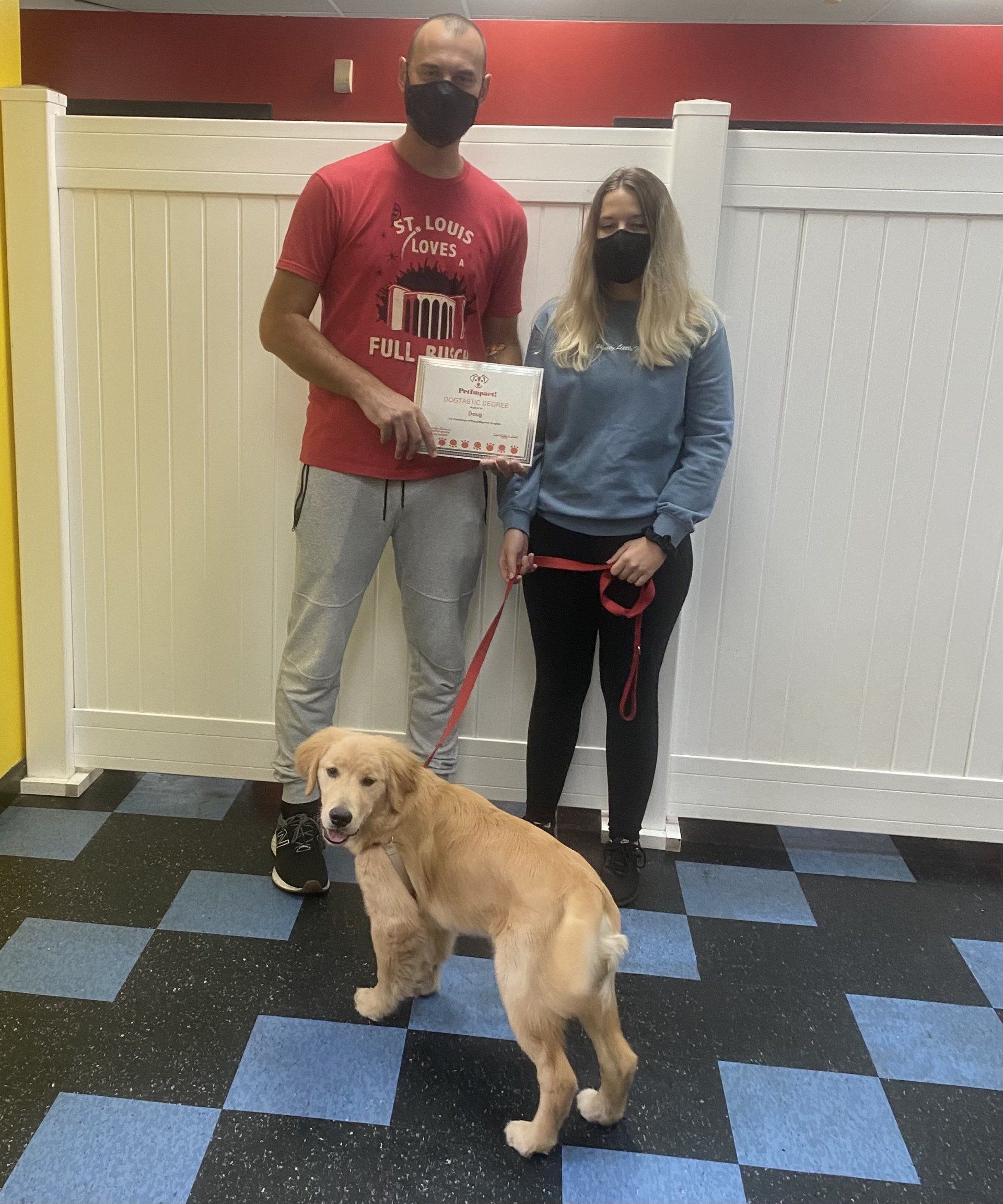 Golden Retriever Dog With Its Owner Holding Certificate — St. Louis, MO — PetImpact!