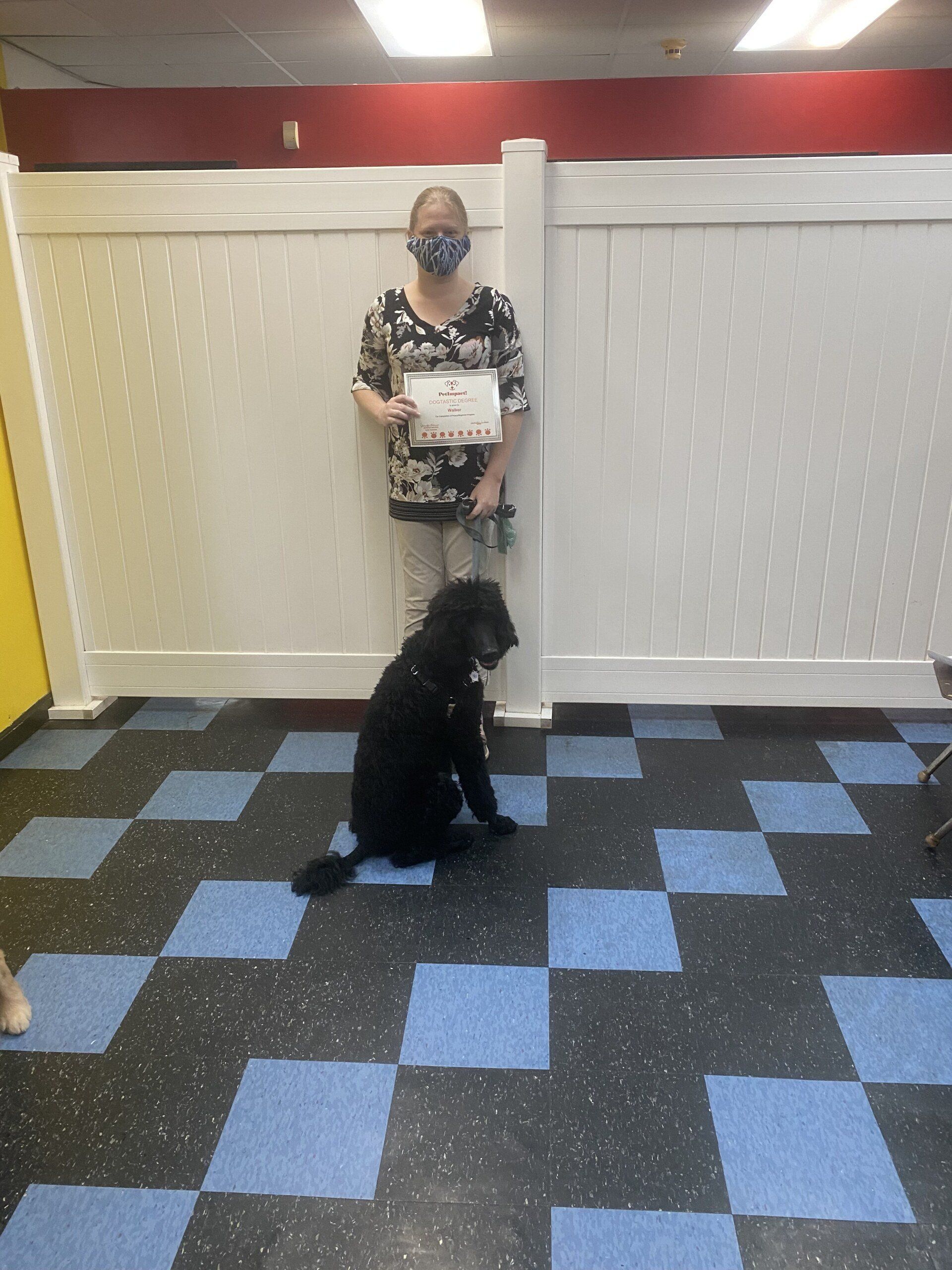 Dog Walker With Its Owner Holding Certificate — St. Louis, MO — PetImpact!