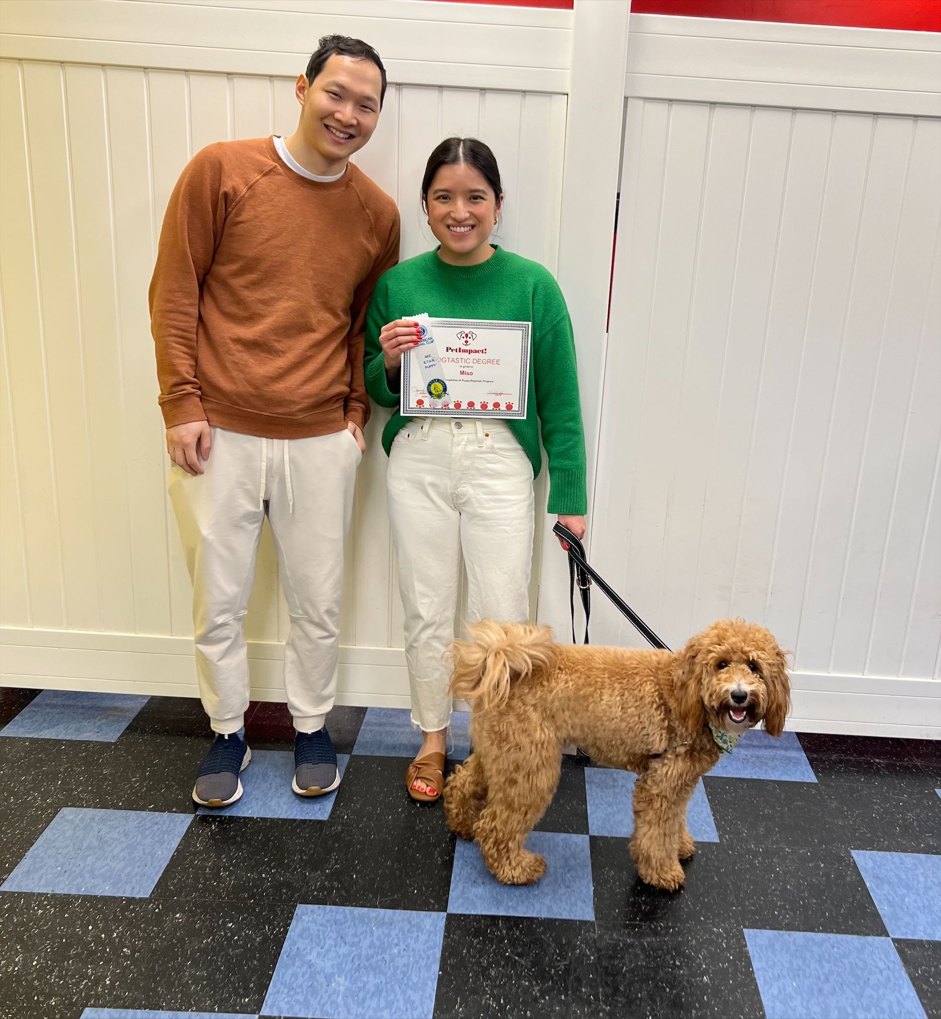 Couple with a goldendoodle, holding certificate, smiling, standing against a white wall with blue and black tiled floor.
