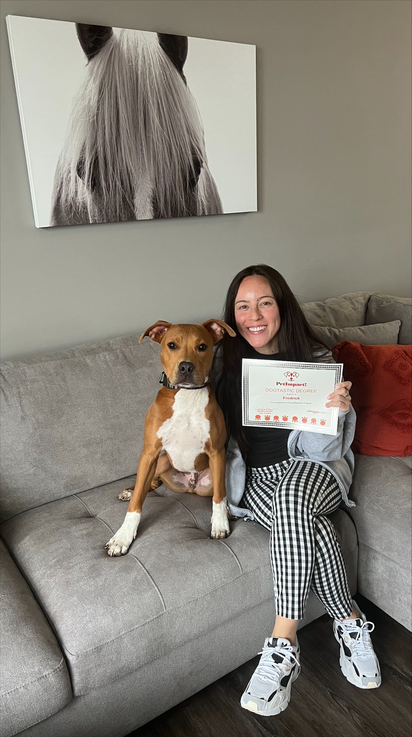 Group photo with dog in the chair — St. Louis, MO — PetImpact! Dog Training