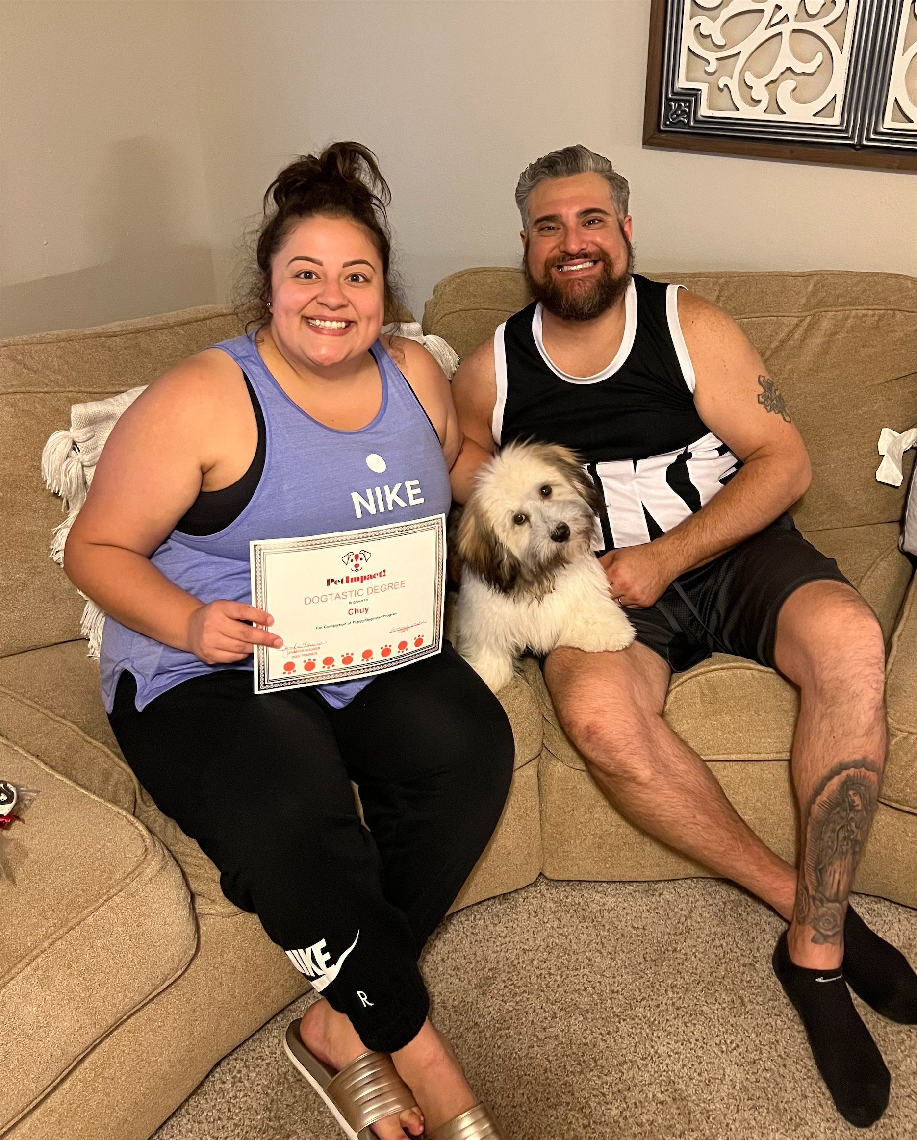 Dog in Couch Certificate -  St Louis County, MI - PetImpact! Dog Training Services