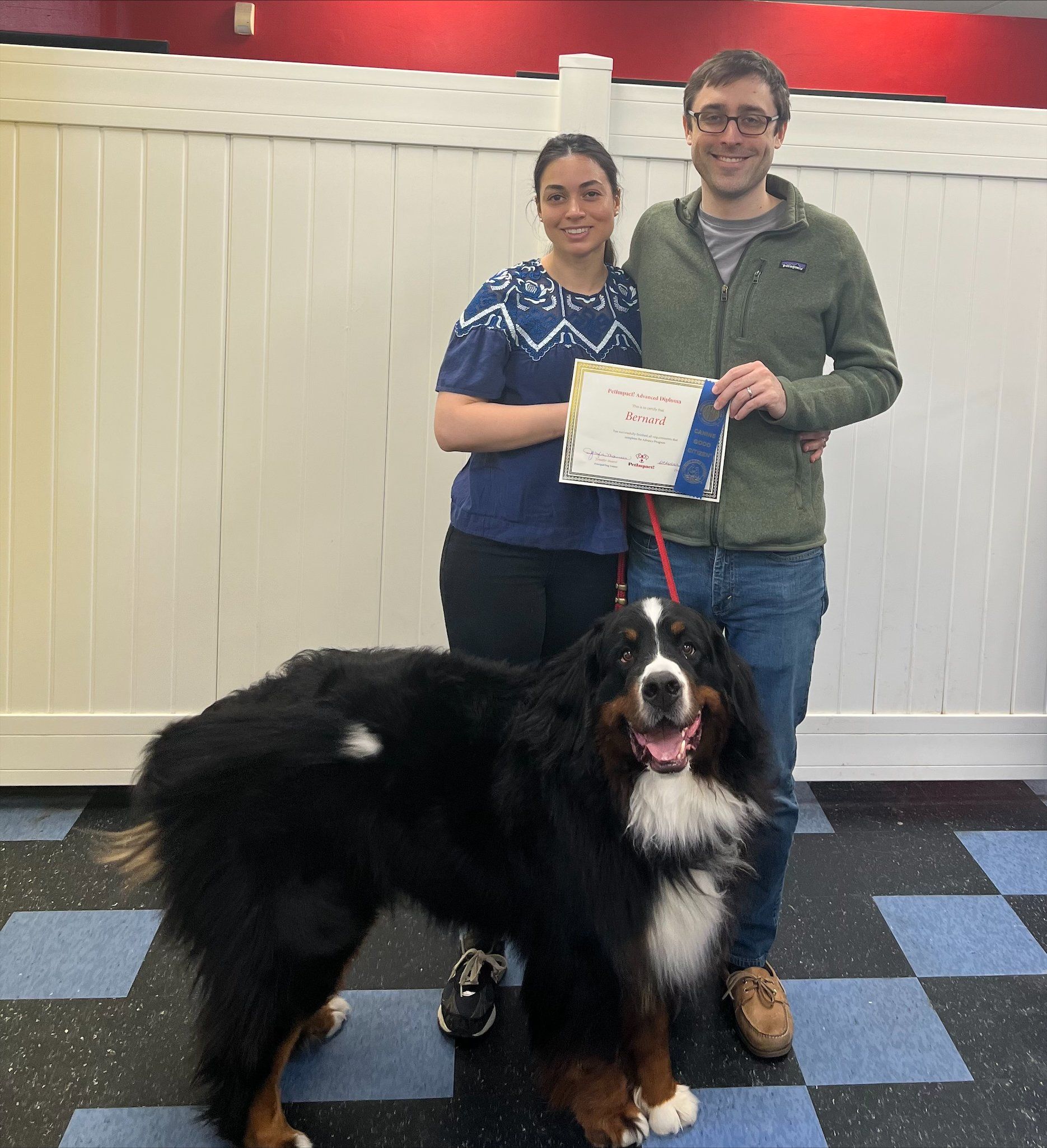 Bernard — St. Louis, MO — PetImpact! Dog Training