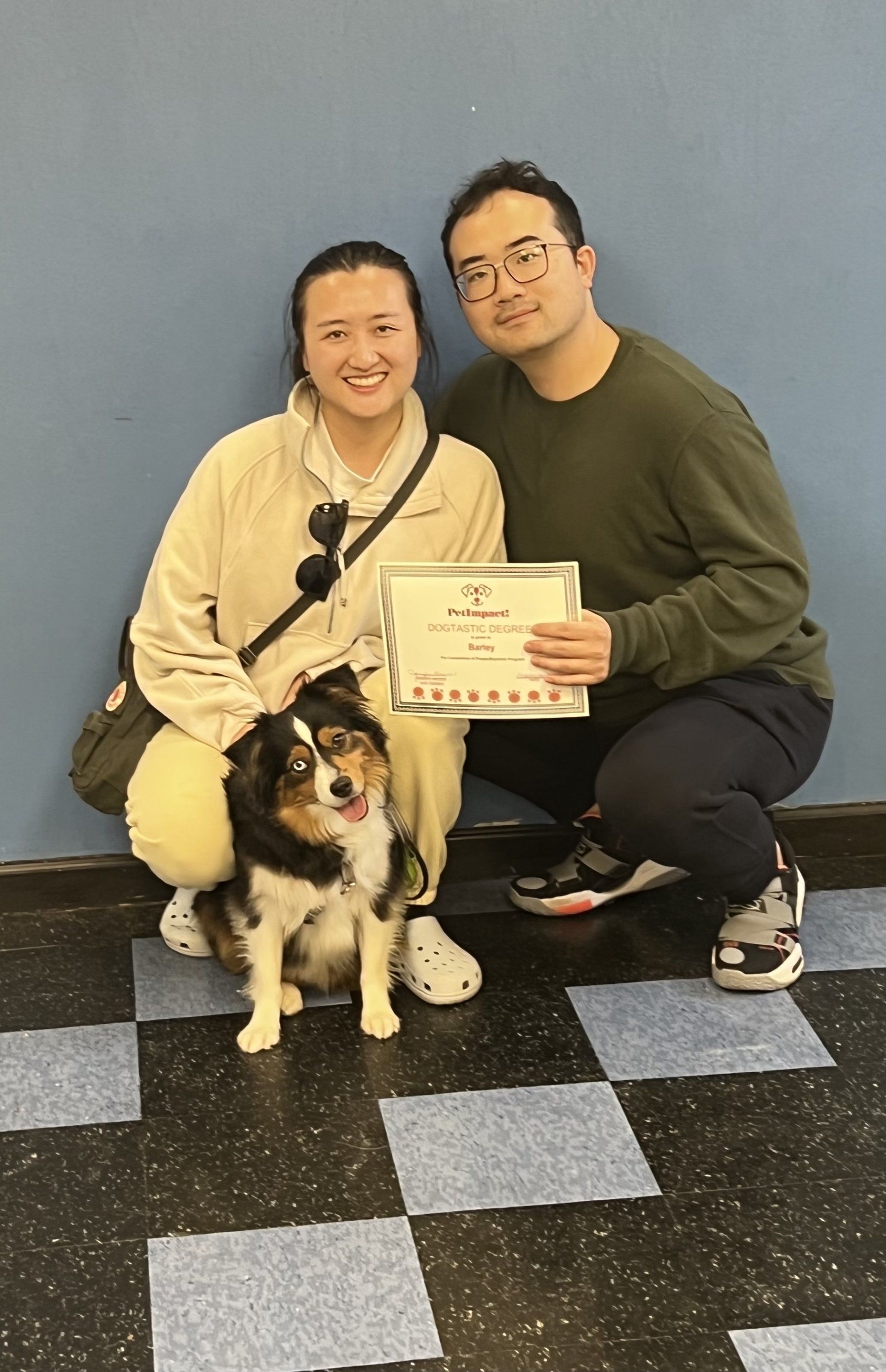 Barley — St. Louis, MO — PetImpact! Dog Training