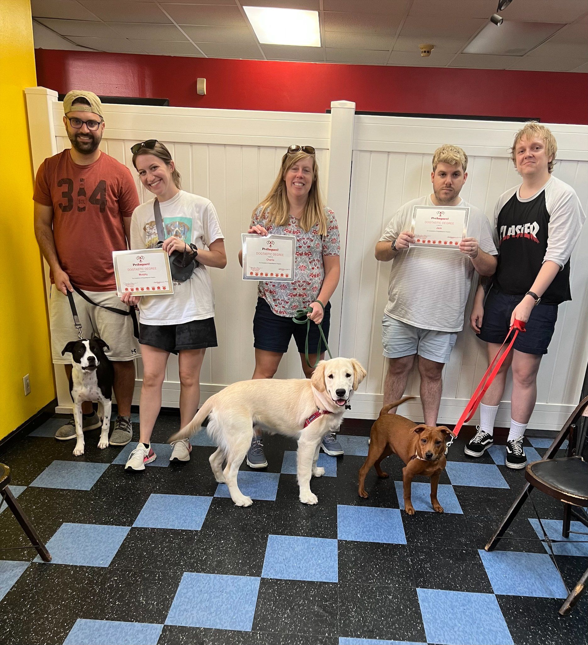 People with dogs in a training class, holding signs. Room has black and blue checkered floor, yellow and red walls.