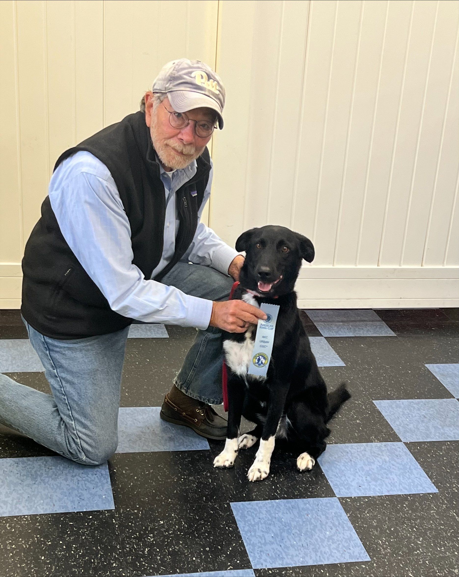 Dog Graduation -  St Louis County, MI - PetImpact! Dog Training Services