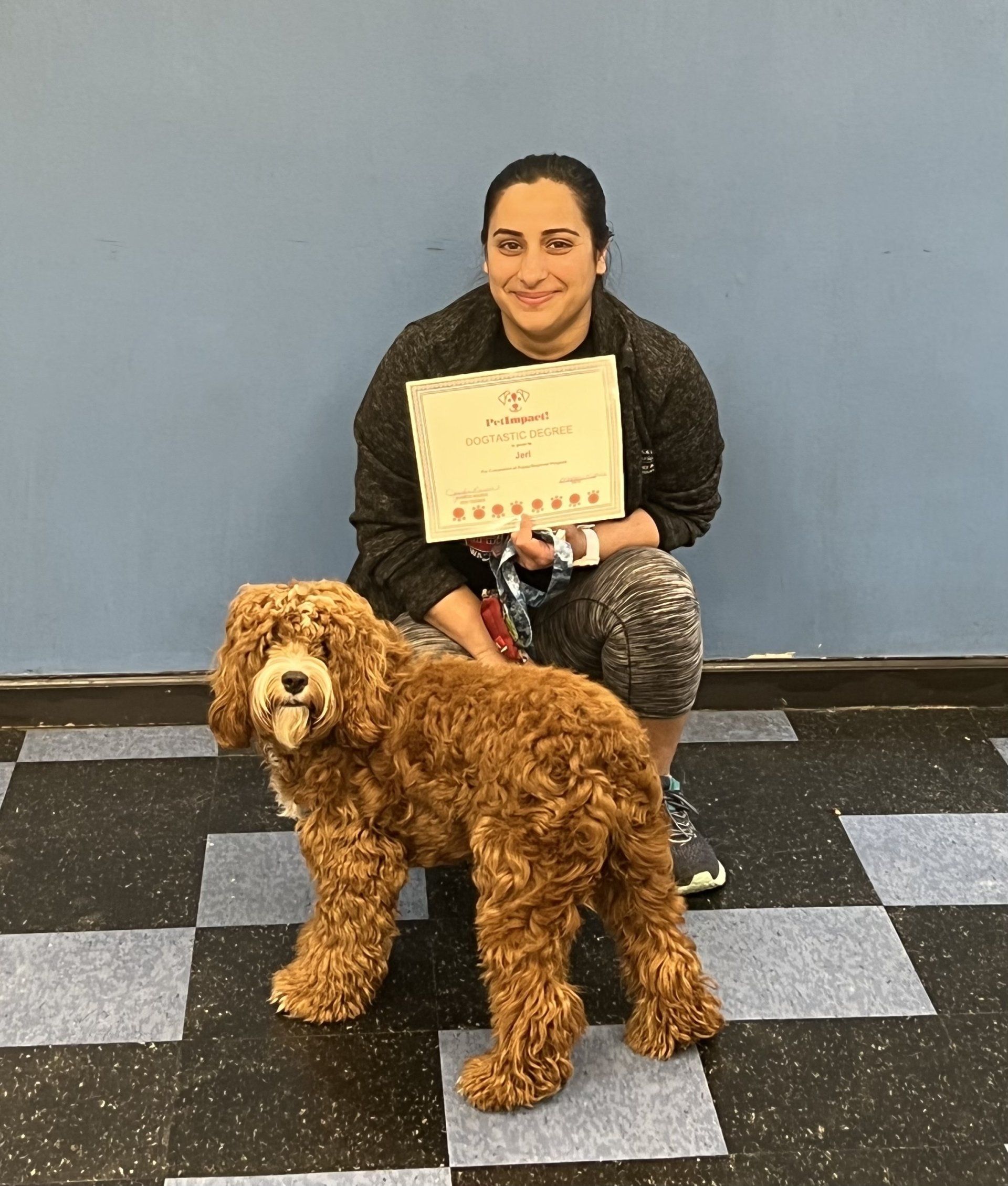 Jerl — St. Louis, MO — PetImpact! Dog Training