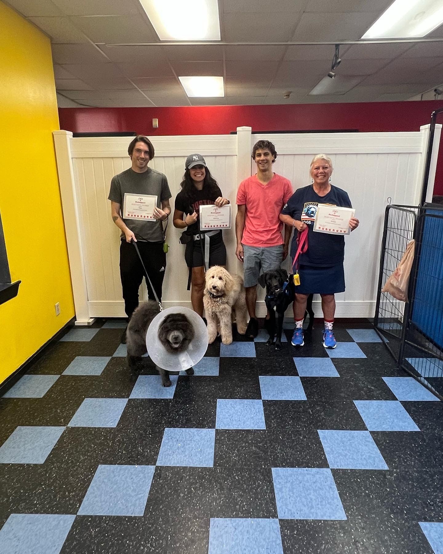 Four people with dogs hold certificates in a room. Dogs wear collars/cones. Black, blue, and white checkered floor.