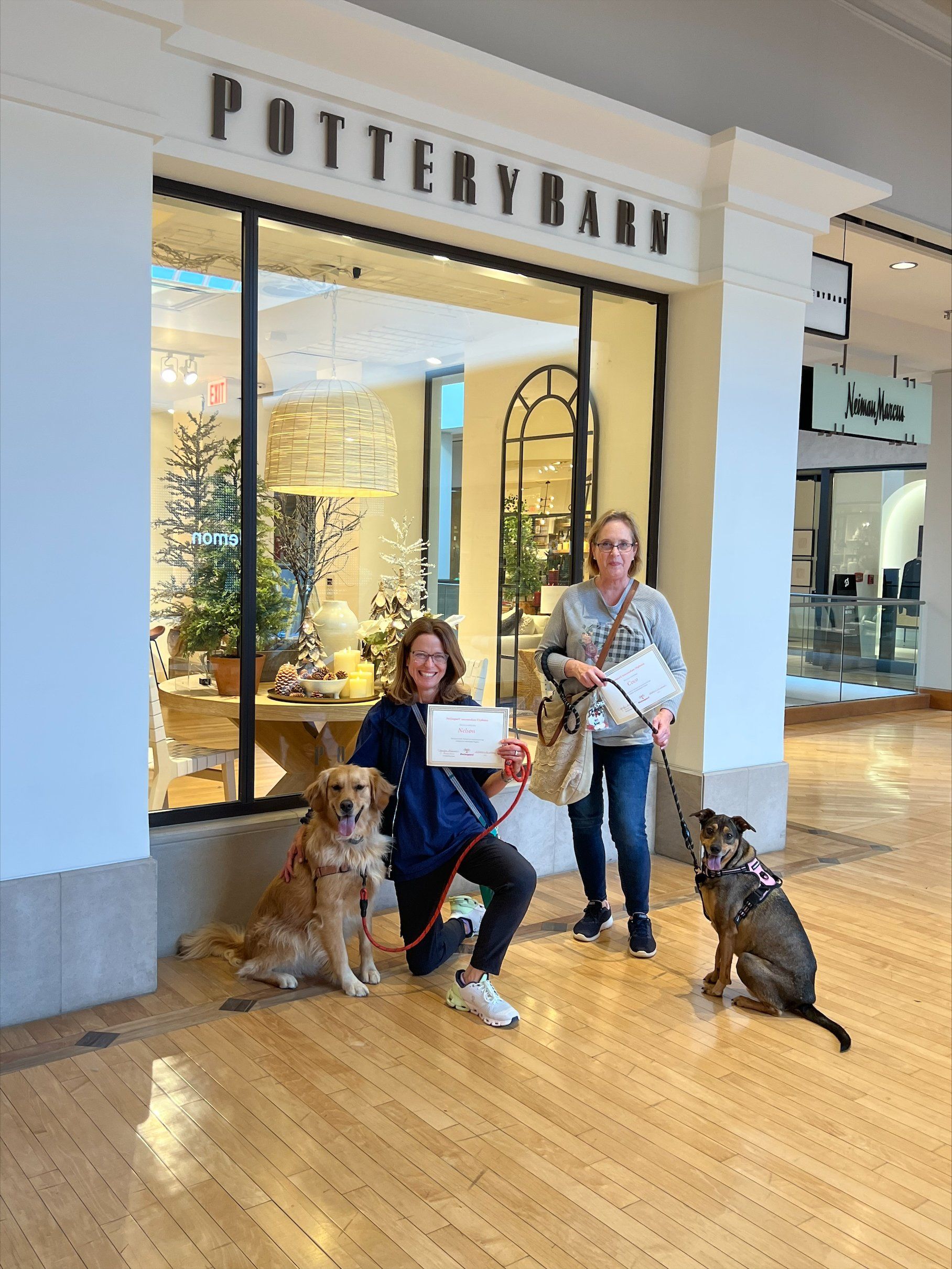 Dogs Graduation Certificate -  St Louis County, MI - PetImpact! Dog Training Services