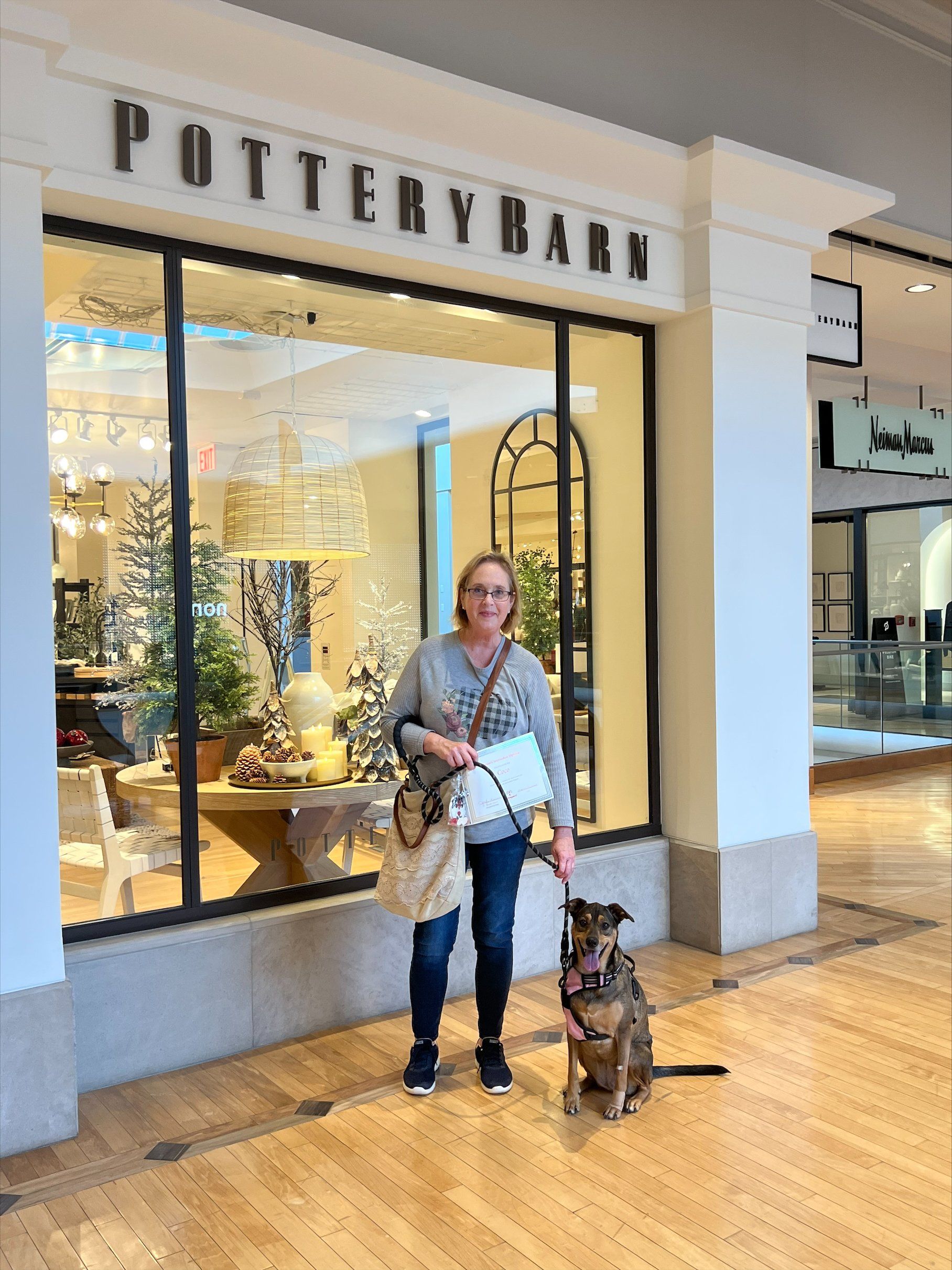 Brown Dog Graduation -  St Louis County, MI - PetImpact! Dog Training Services