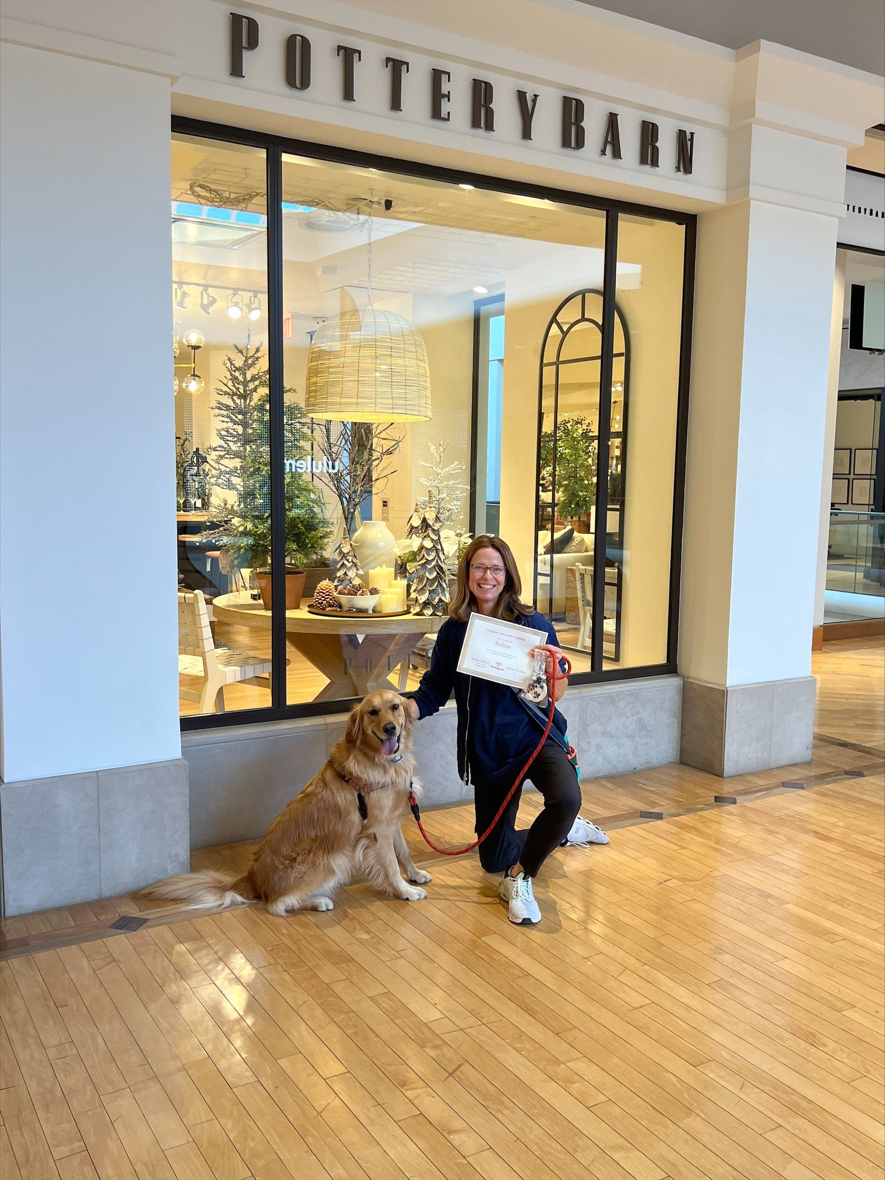 Dog Graduation Day -  St Louis County, MI - PetImpact! Dog Training Services