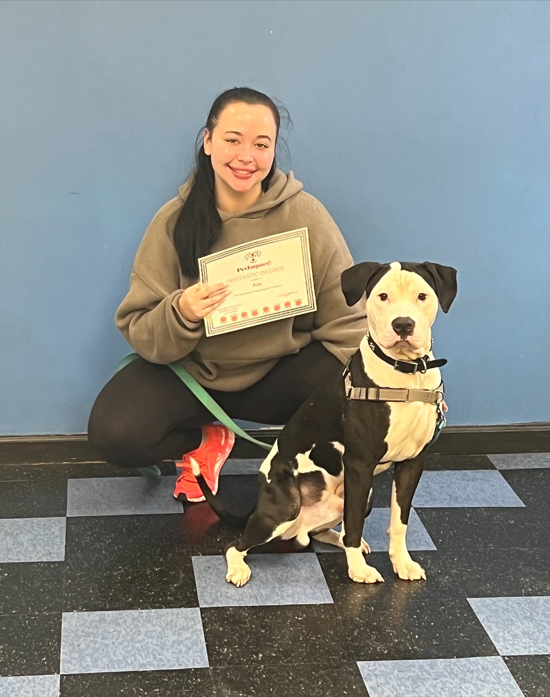 Woman Holding Dog Certificate — St. Louis, MO — PetImpact! Dog Training