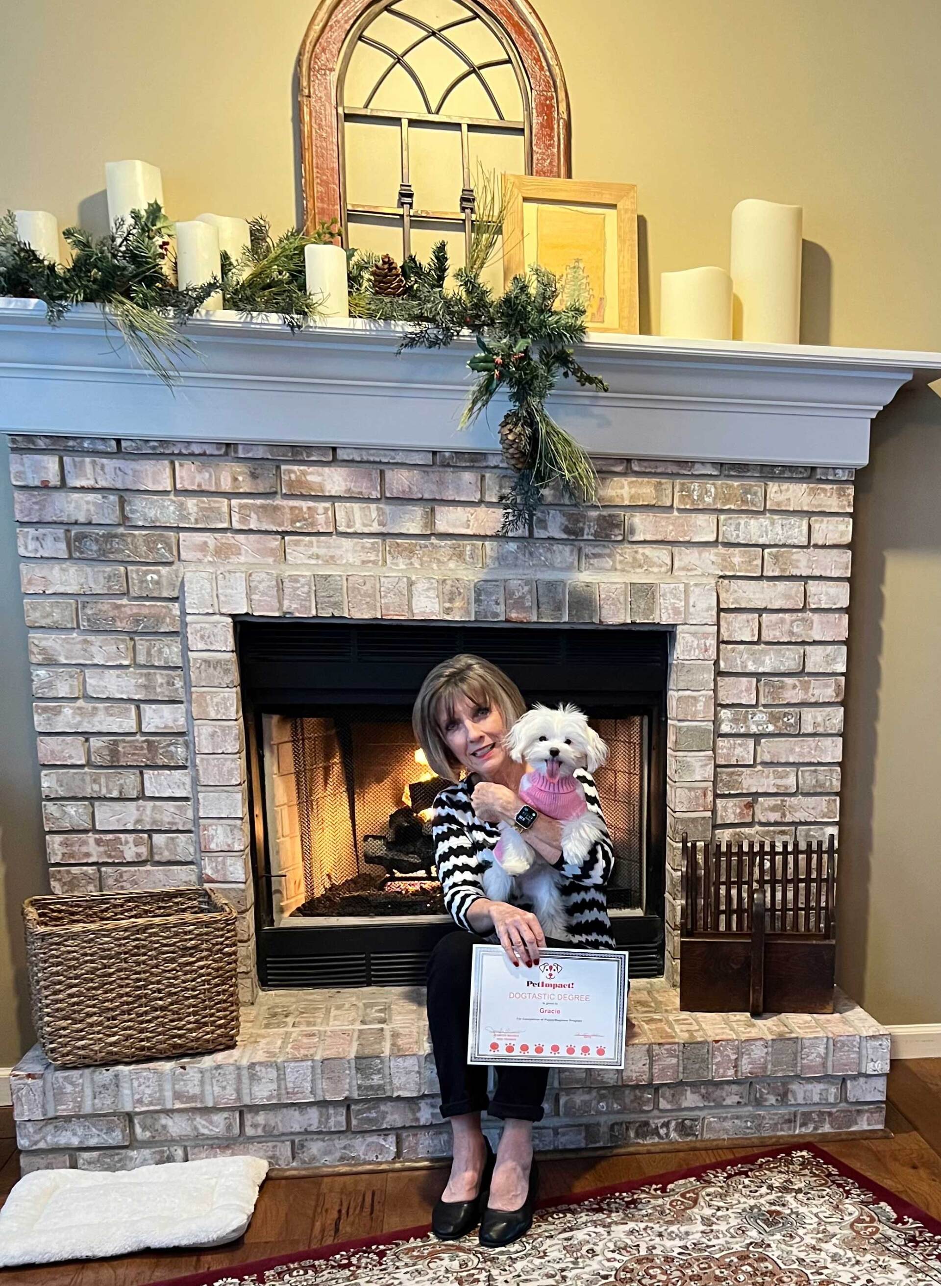 White Dog  — St. Louis, MO — PetImpact! Dog Training