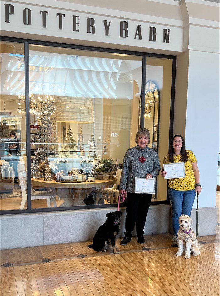 Newly Graduated Dog with their Owner  — St. Louis, MO — PetImpact! Dog Training