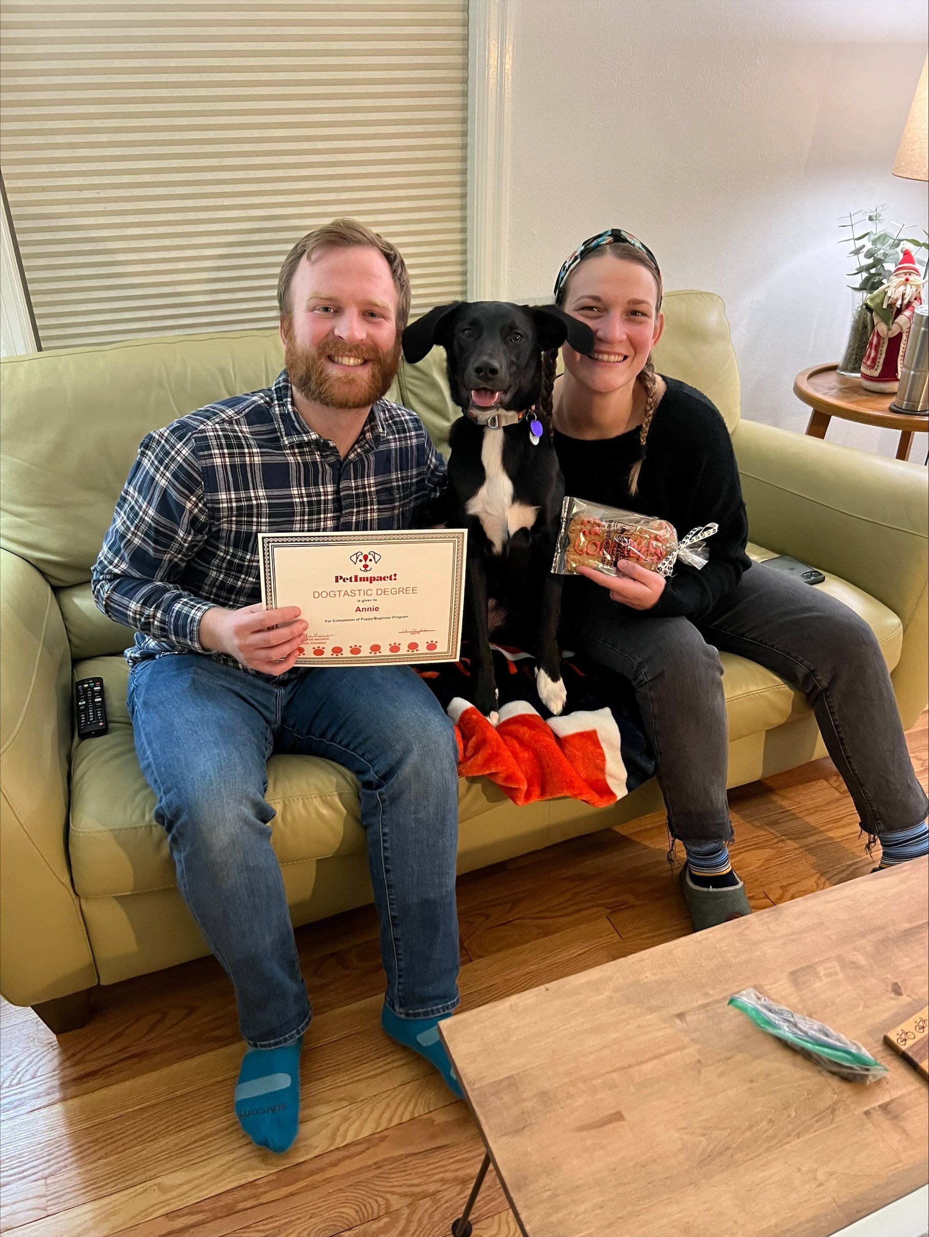 Newly Graduated Black Dog — St. Louis, MO — PetImpact! Dog Training