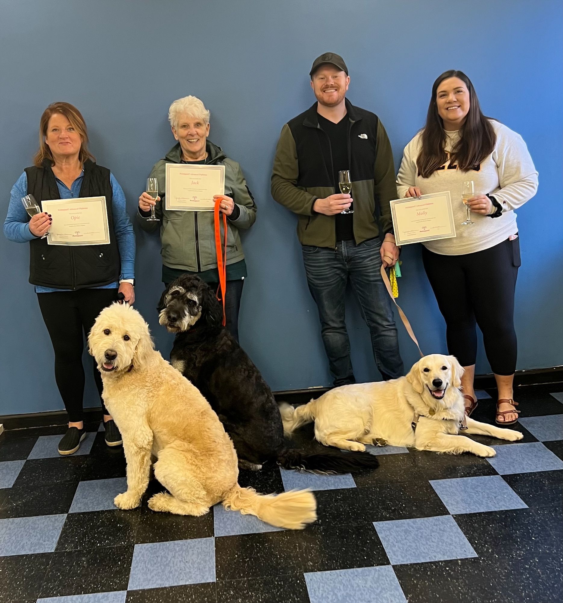 Two Dog Graduates— St. Louis, MO — PetImpact! Dog Training