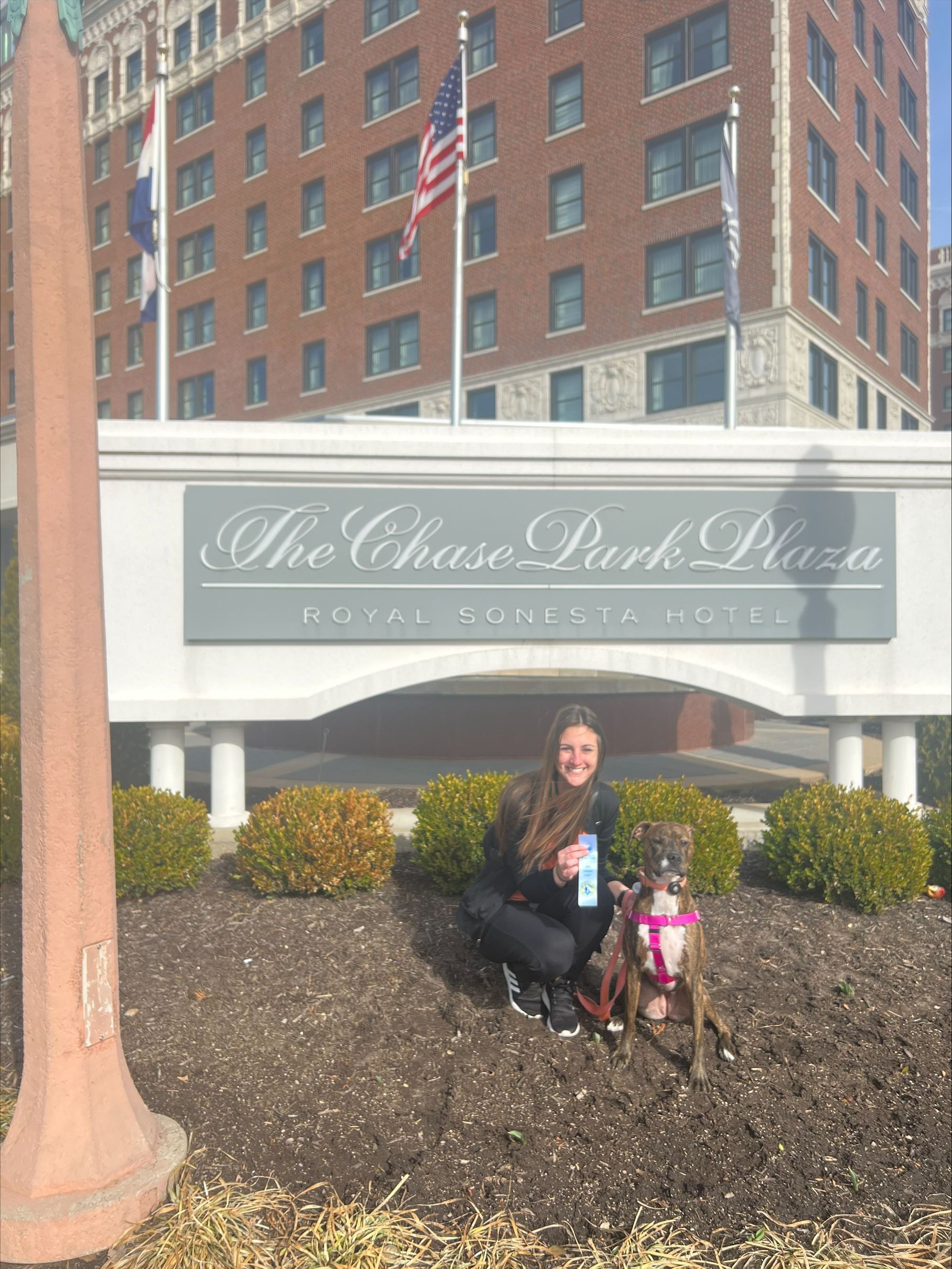 Owner And Her Dog — St. Louis, MO — PetImpact! Dog Training