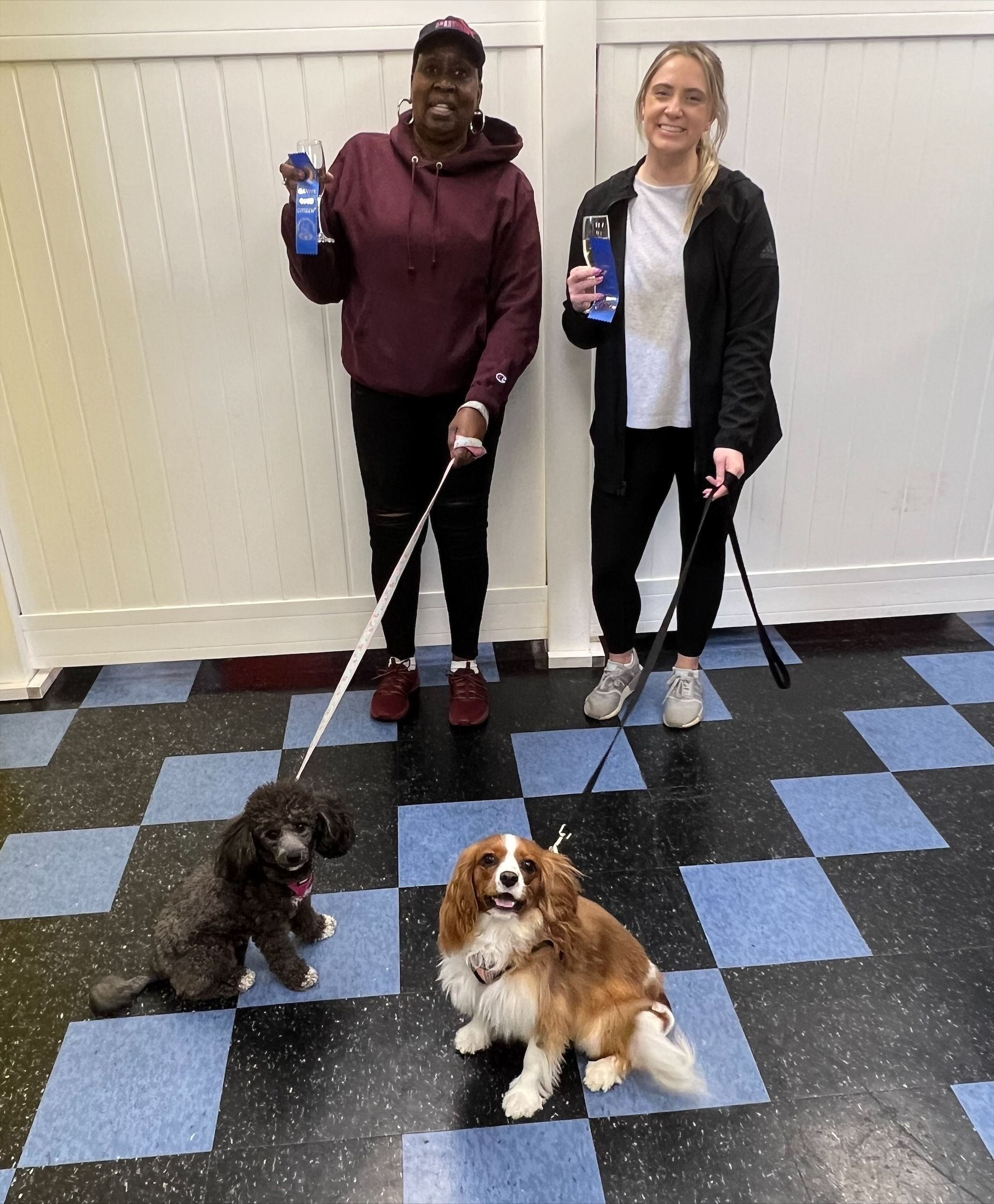 Dogs on Leash with Owners — St. Louis, MO — PetImpact!