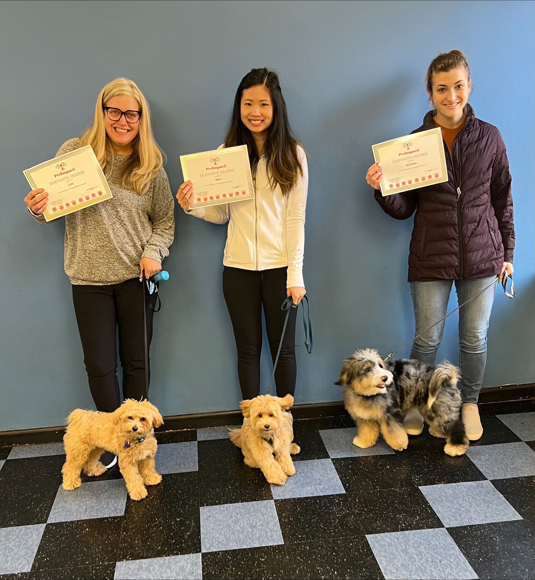 Owners And Their Dogs — St. Louis, MO — PetImpact! Dog Training