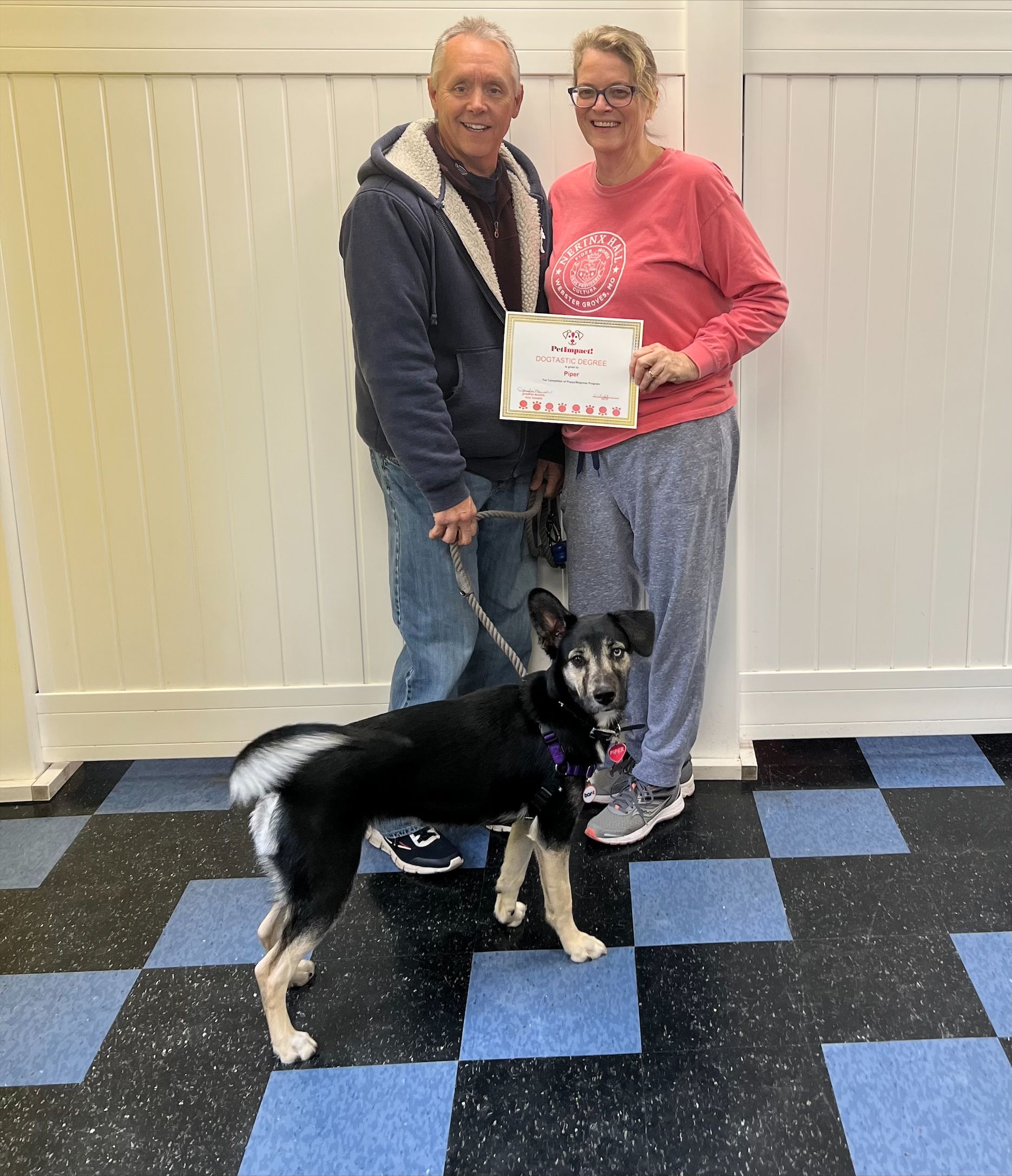 Newly Graduated Dog with Certificate — St. Louis, MO — PetImpact! Dog Training