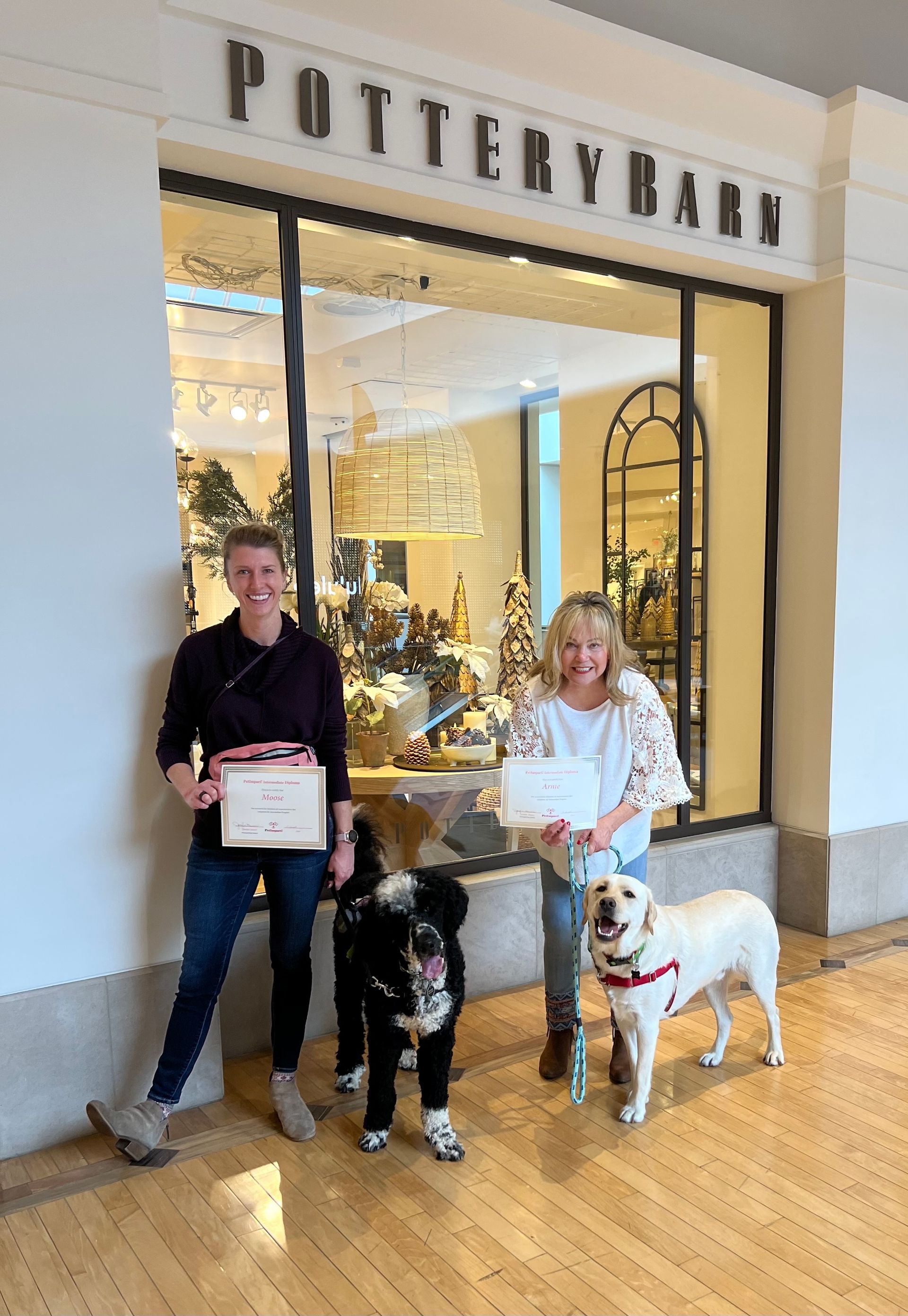 Two Newly Graduated Dogs — St. Louis, MO — PetImpact! Dog Training
