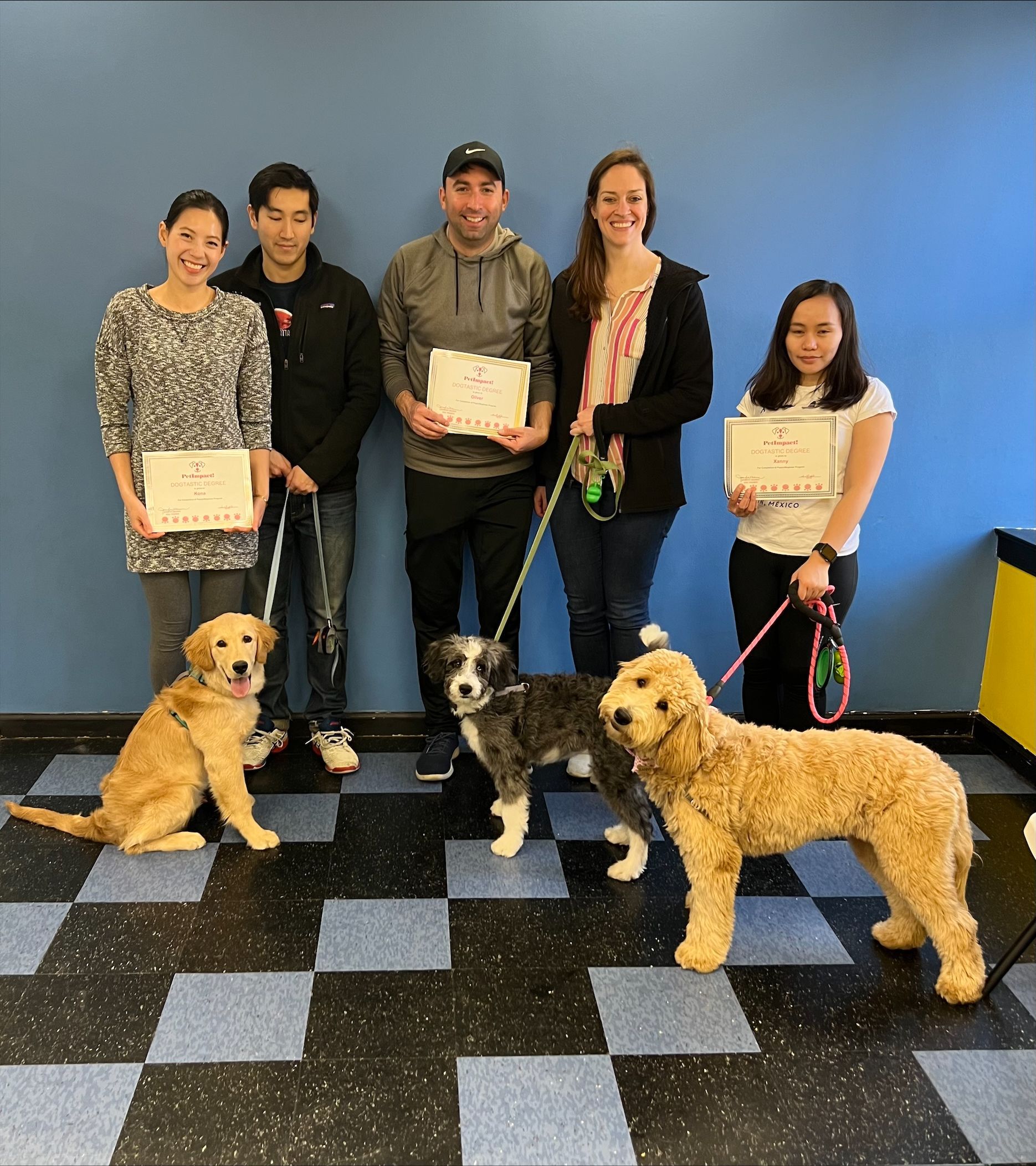 Oweners With Their Dogs Oliver, Kona, & Xanny — St. Louis, MO — PetImpact! Dog Training