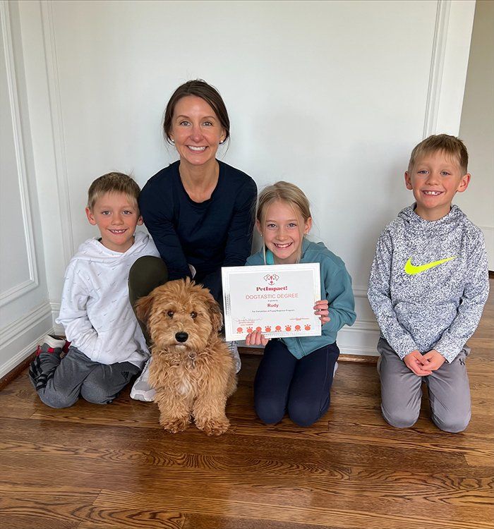 Newly Graduated Dog with the Kids  — St. Louis, MO — PetImpact! Dog Training