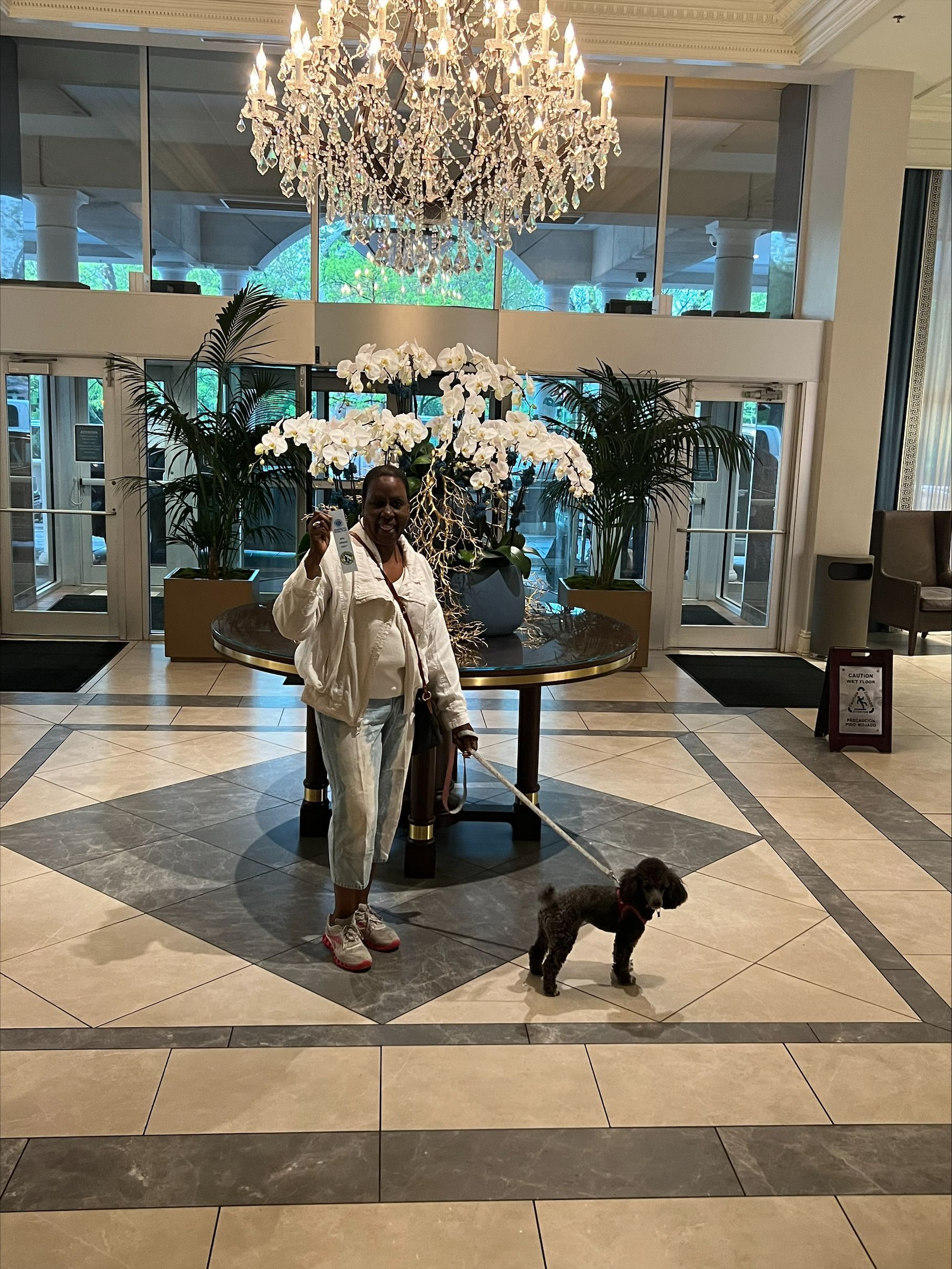 Lady and Cute Dog — St. Louis, Mo — Petimpact!