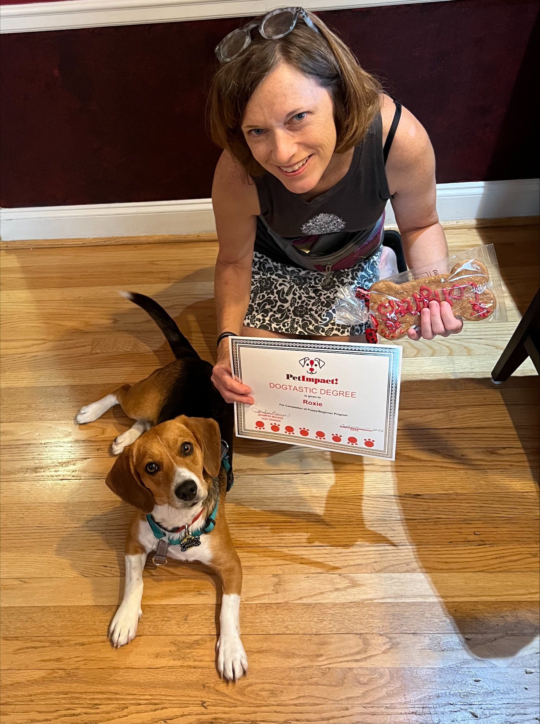 Roxie — St. Louis, MO — PetImpact! Dog Training
