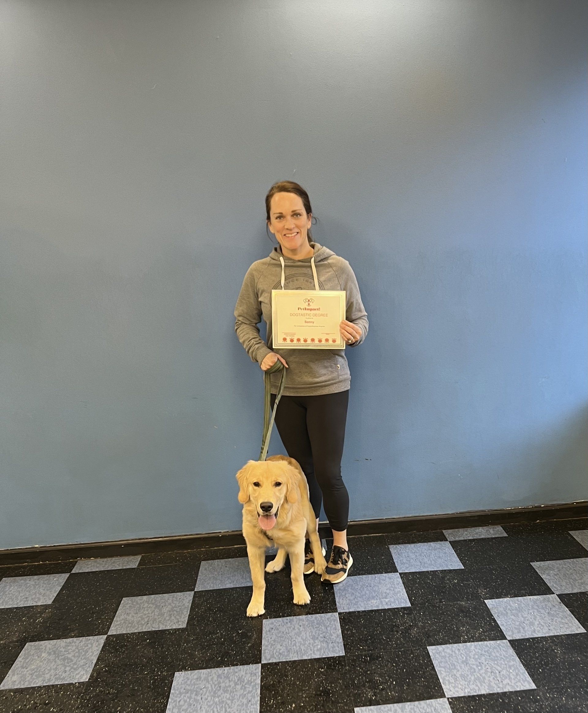 Newly Graduated Light Brown Dog — St. Louis, MO — PetImpact! Dog Training