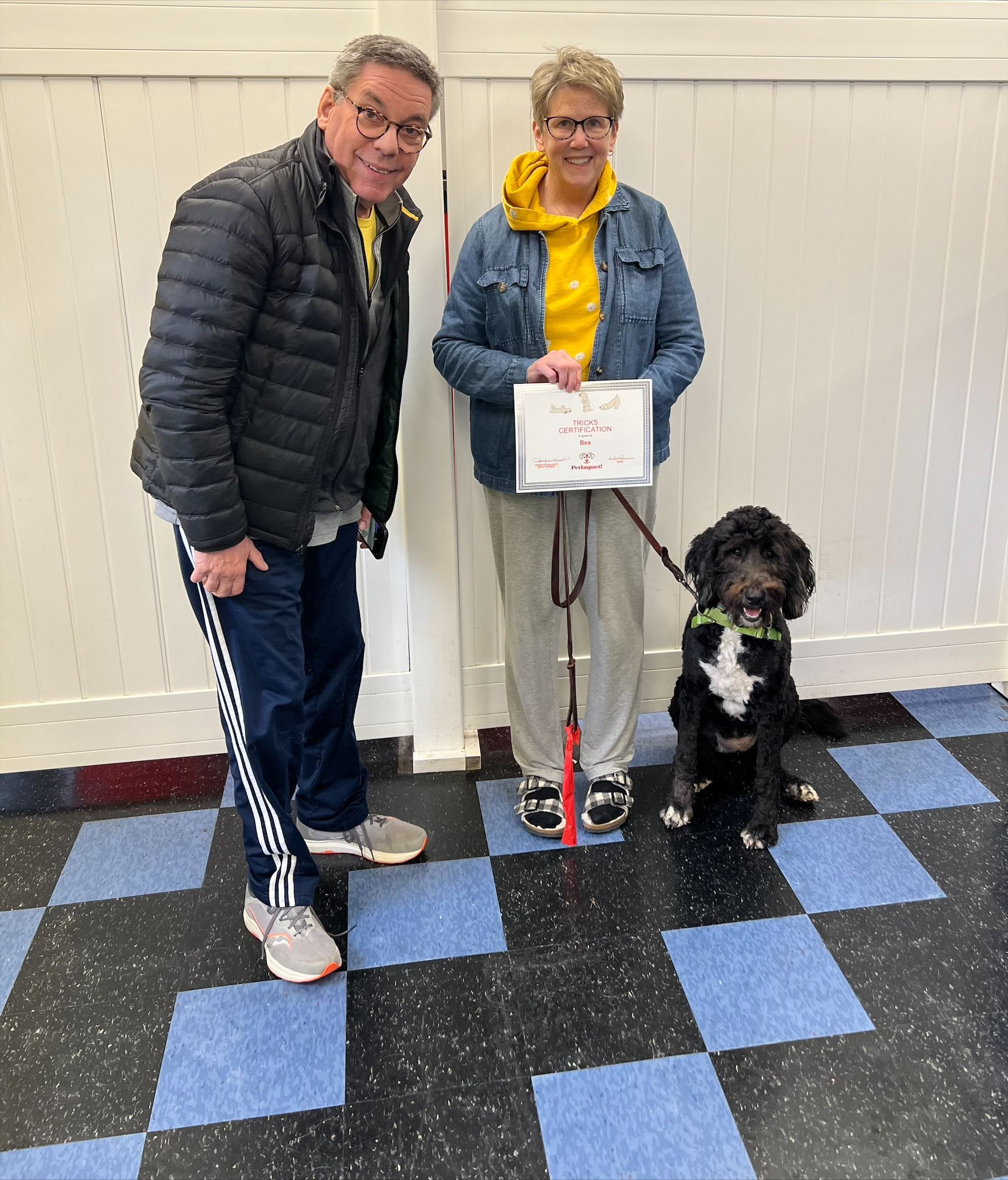 Two People and a Dog — St. Louis, Mo — Petimpact!