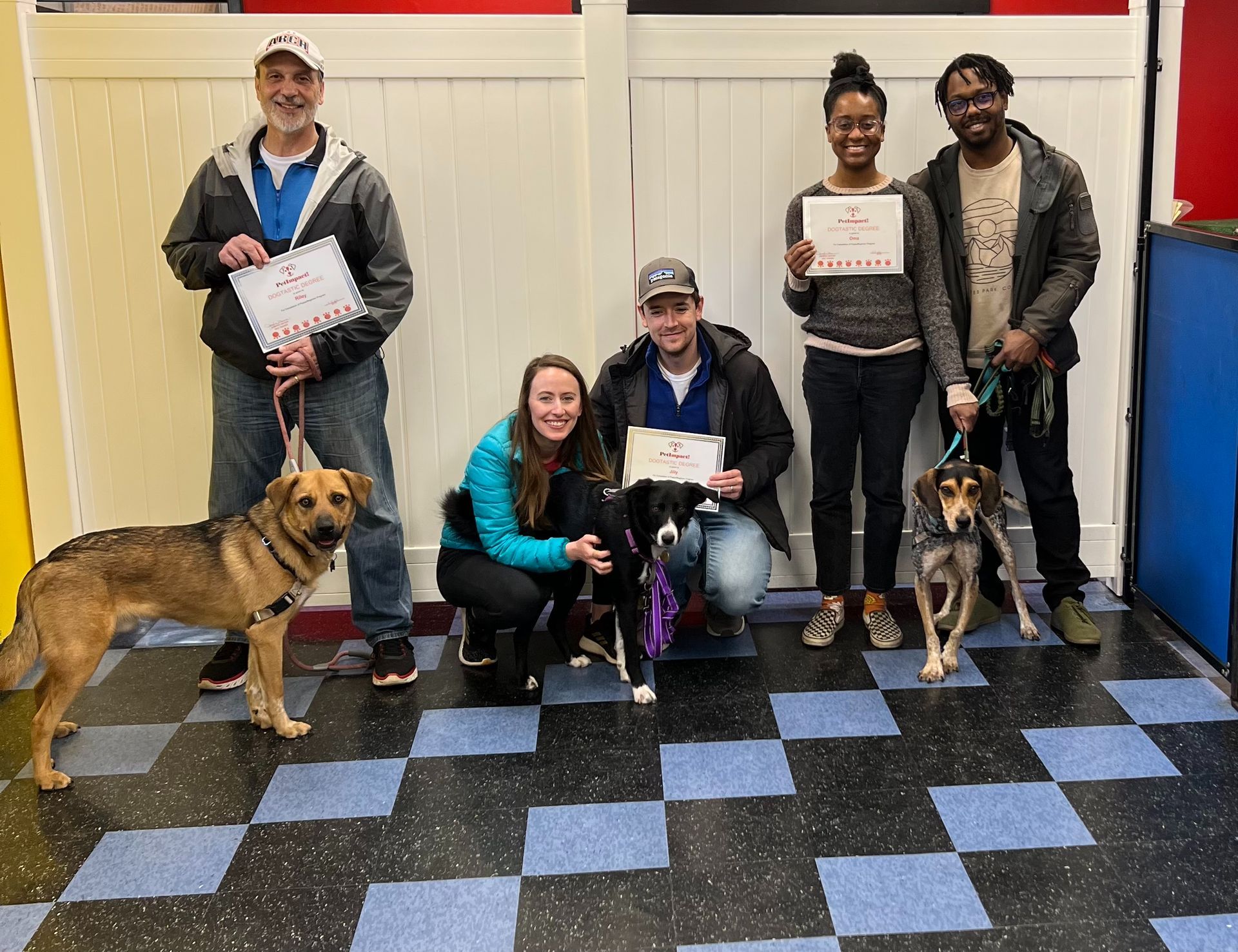 Owners With Their Dogs — St. Louis, MO — PetImpact! Dog Training