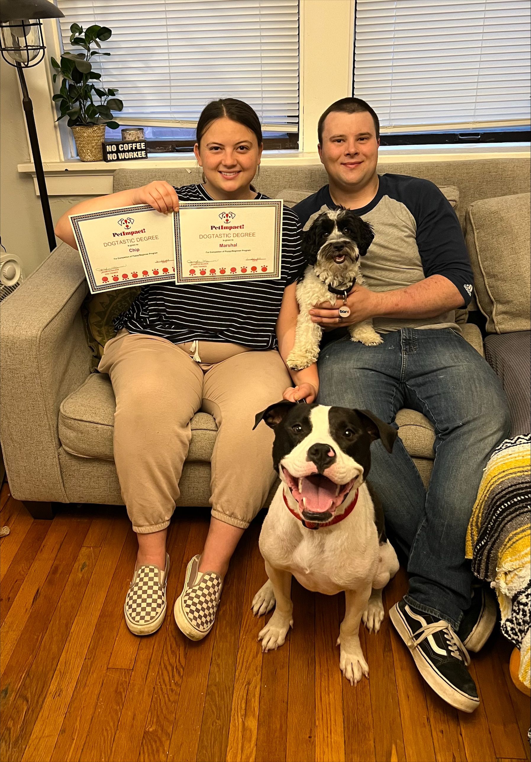 Couple with their Certified Dogs — St. Louis, MO — PetImpact!