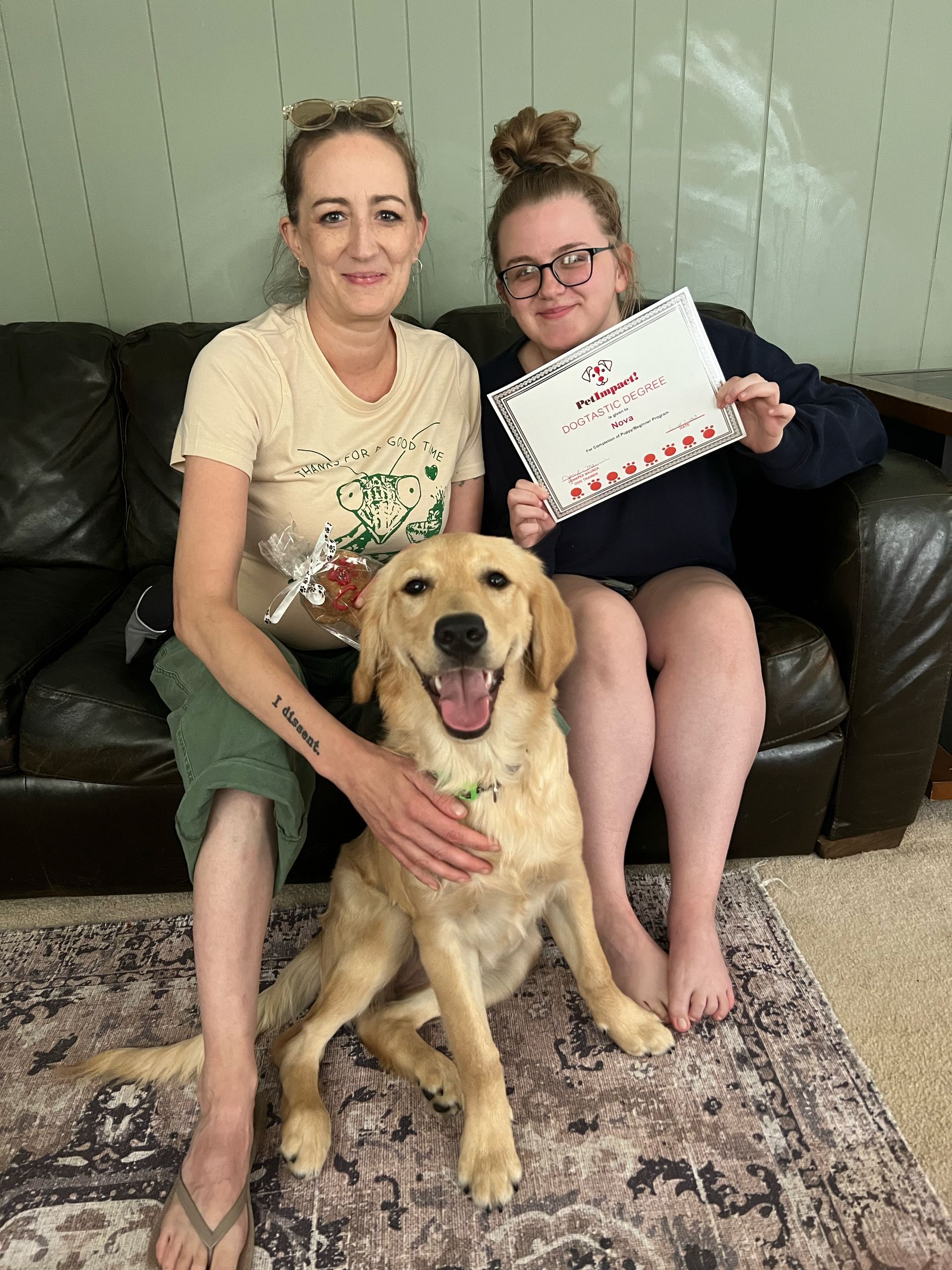 Nova with Dogtastic Degree — St. Louis, MO — PetImpact!