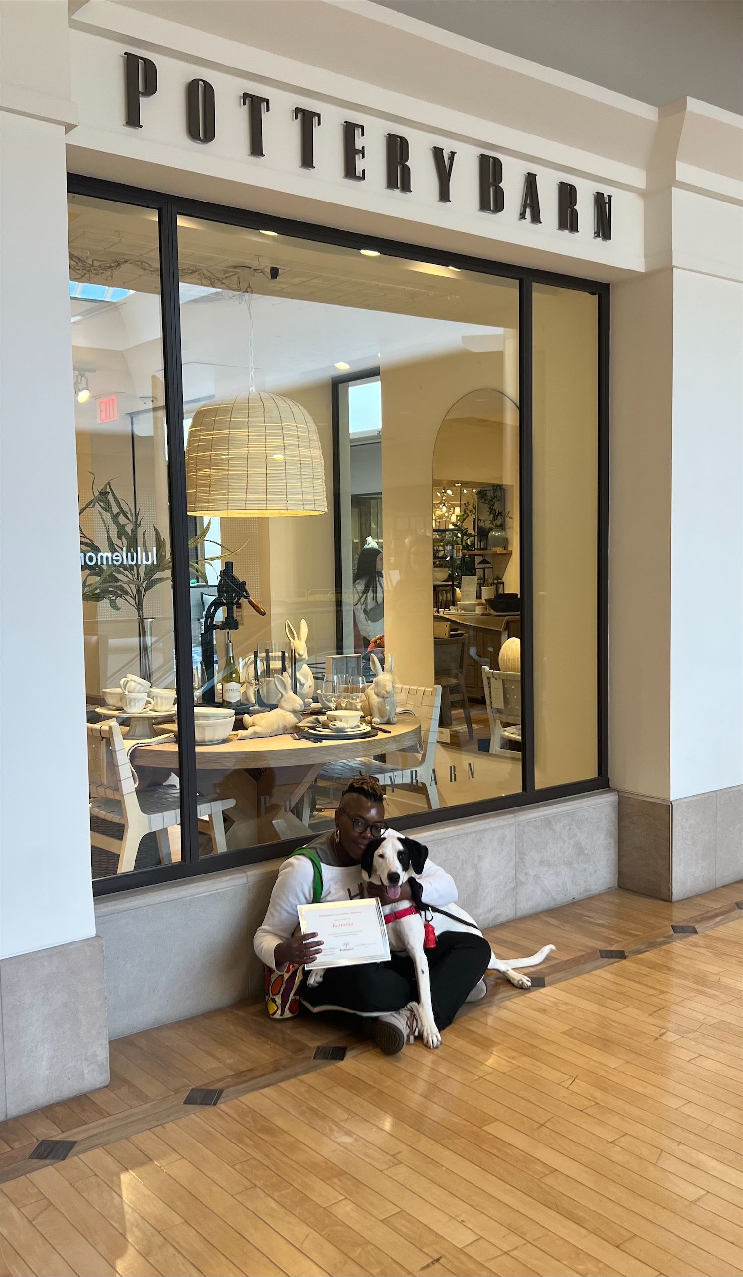 Dog photo — St. Louis, MO — PetImpact! Dog Training