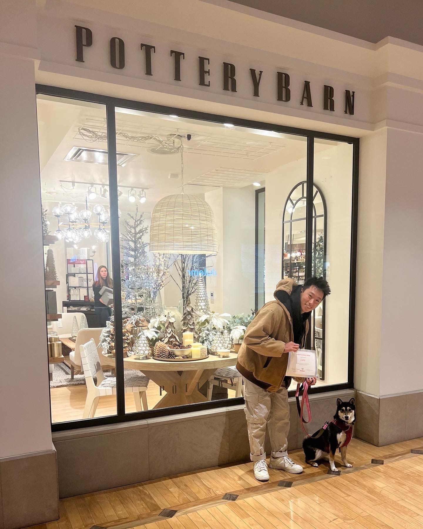 Sitting Black Dog with Gradutaion Certificate — St. Louis, MO — PetImpact! Dog Training