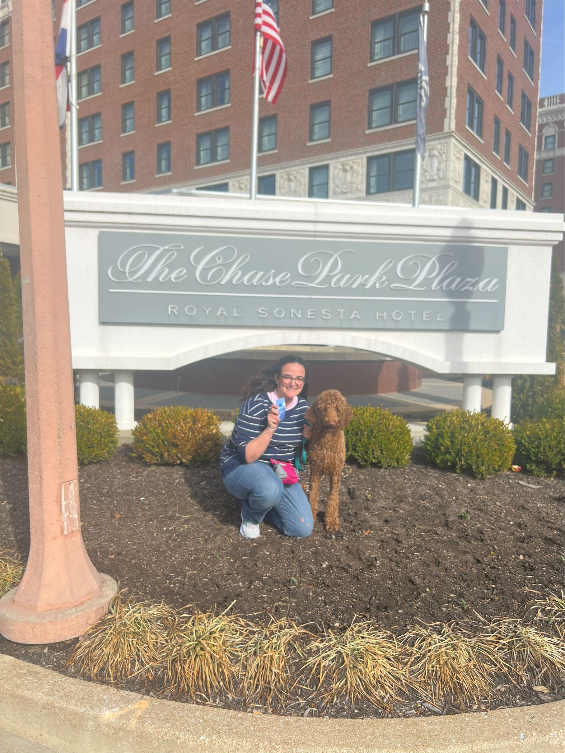 Owner And Poodle — St. Louis, MO — PetImpact! Dog Training