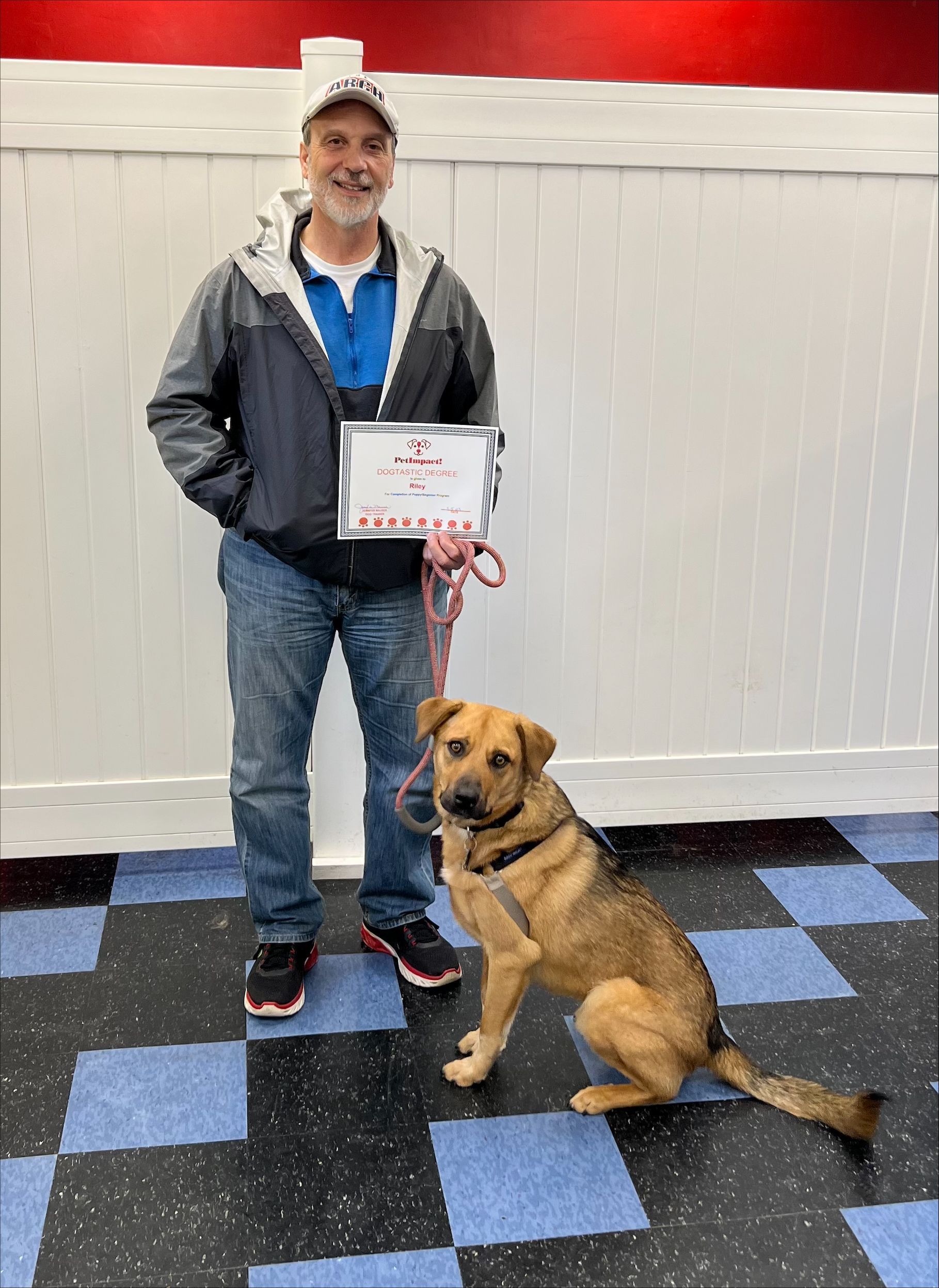 Brown Dog And The Owner — St. Louis, MO — PetImpact! Dog Training