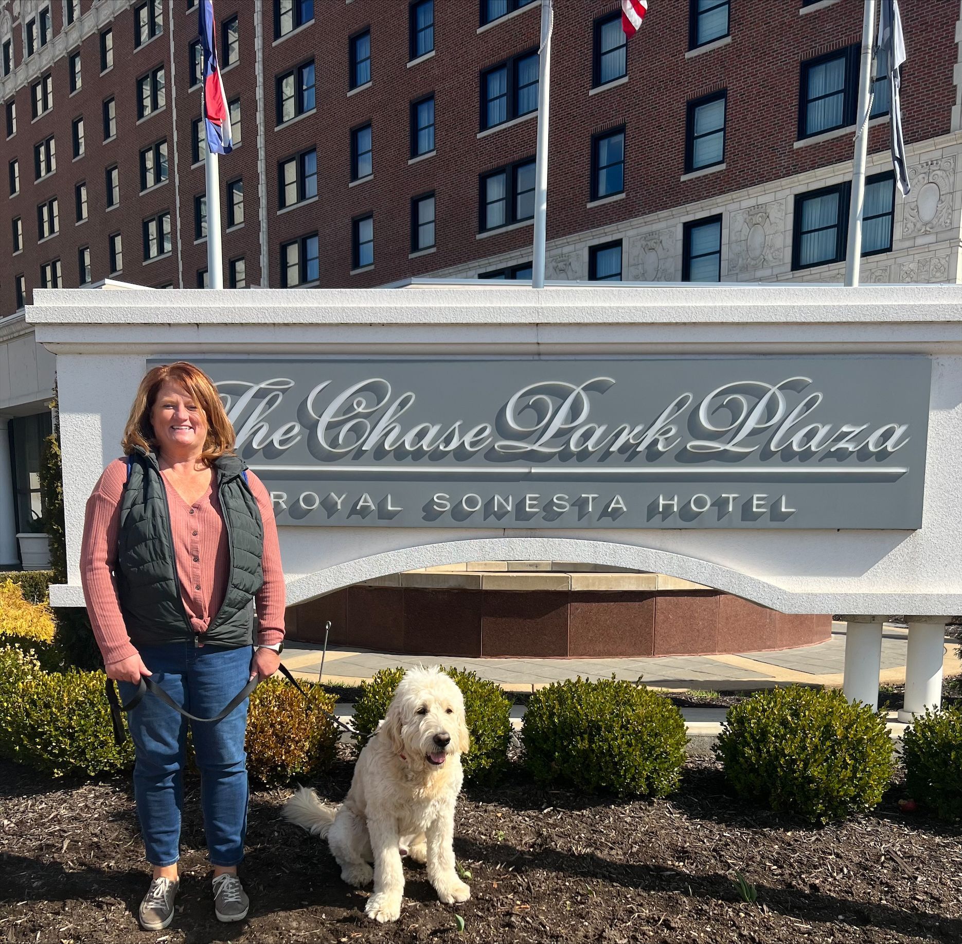 Woman With Her Dog — St. Louis, MO — PetImpact! Dog Training